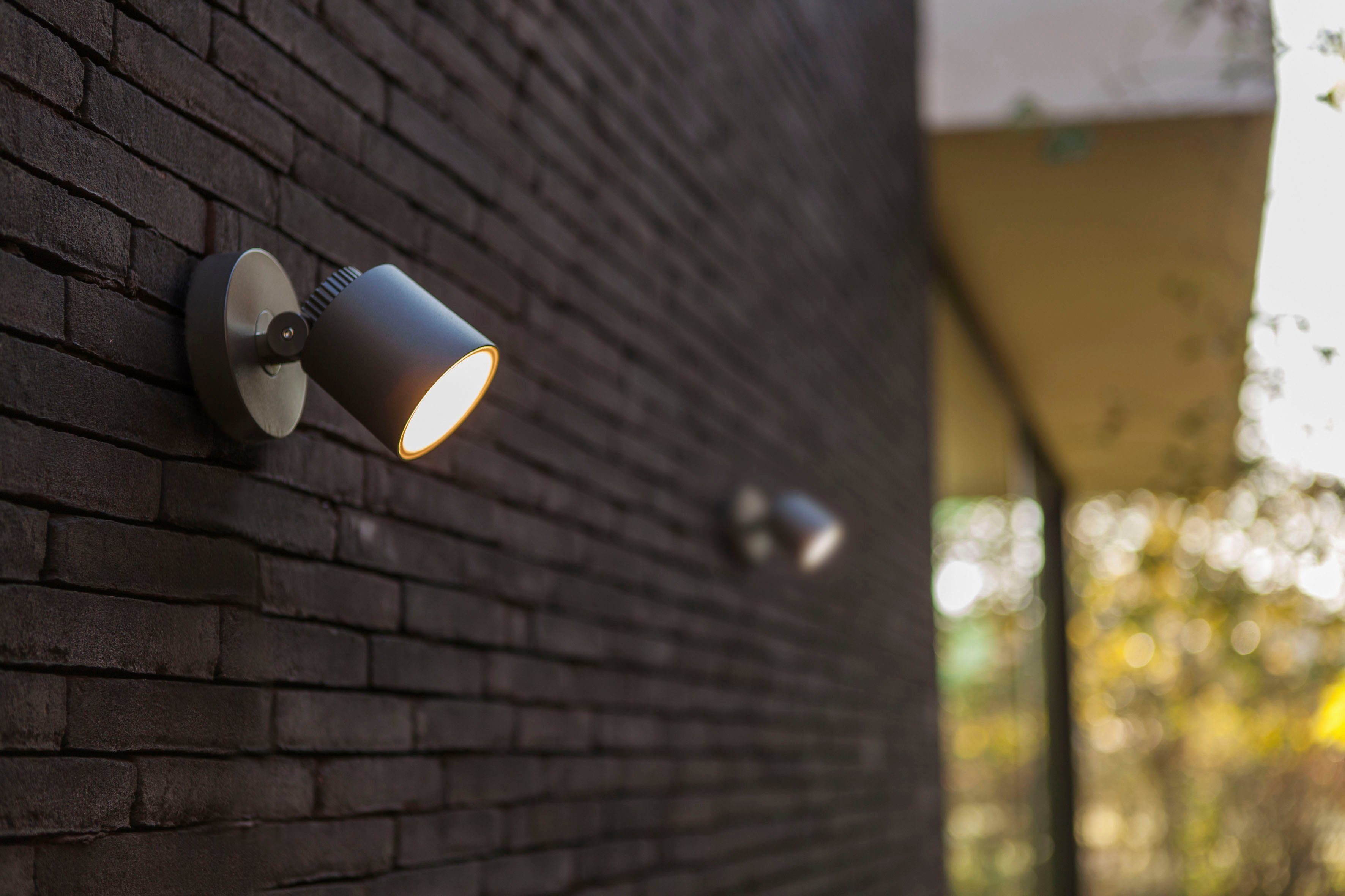 LUTEC Ledwandlamp voor buiten Explorer (1 stuk)