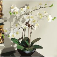 schneider kunstorchidee wit