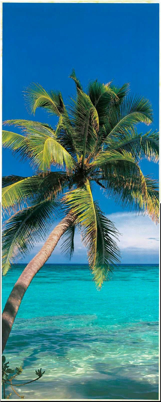 Papermoon Fotobehang Palm Tree - deurbehang Vlies, 2 banen, 90x 200 cm (2-delig)