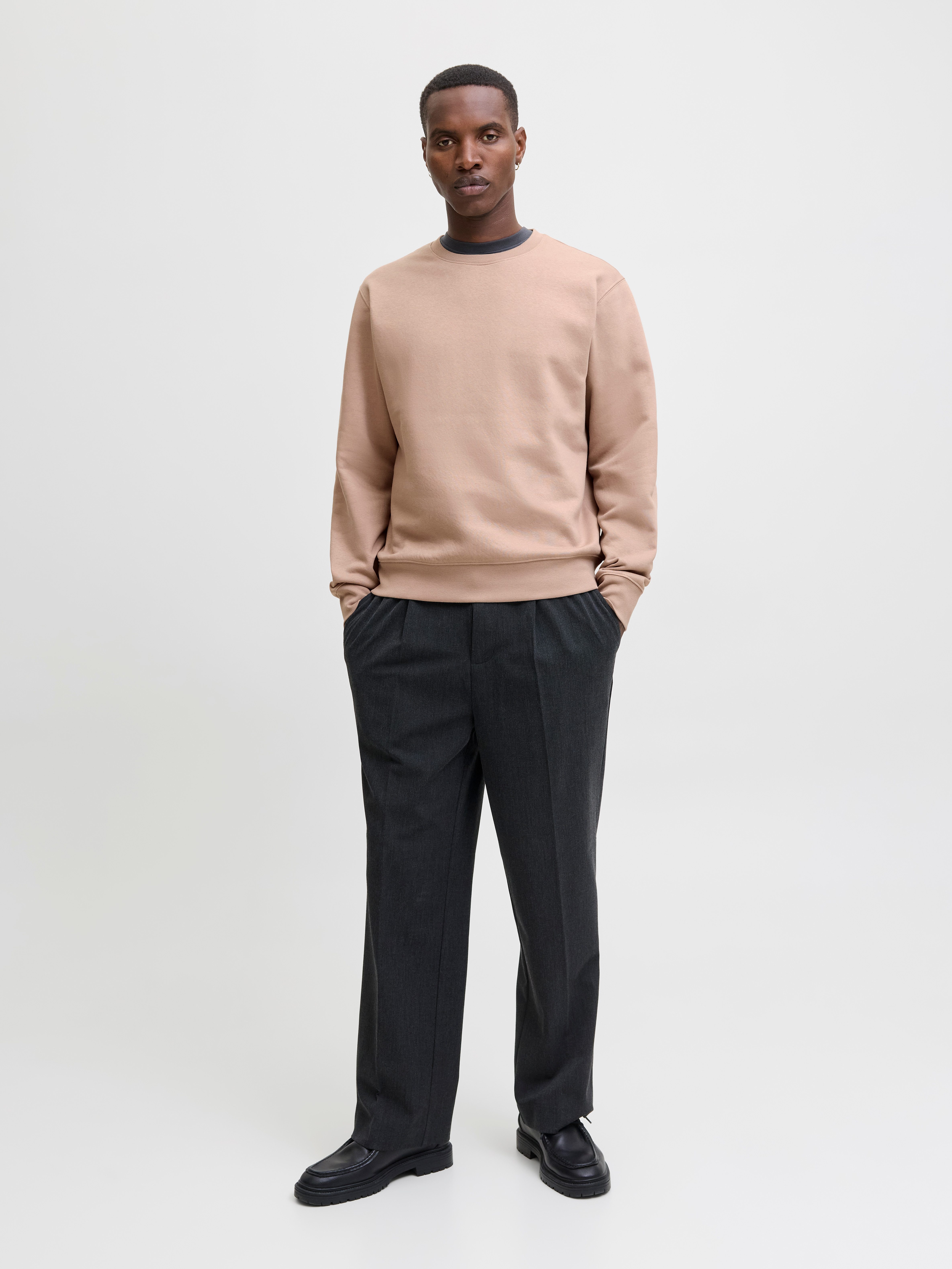 Jack & Jones Sweatshirt JJESTAR BASIC SWEAT CREW NECK NOOS