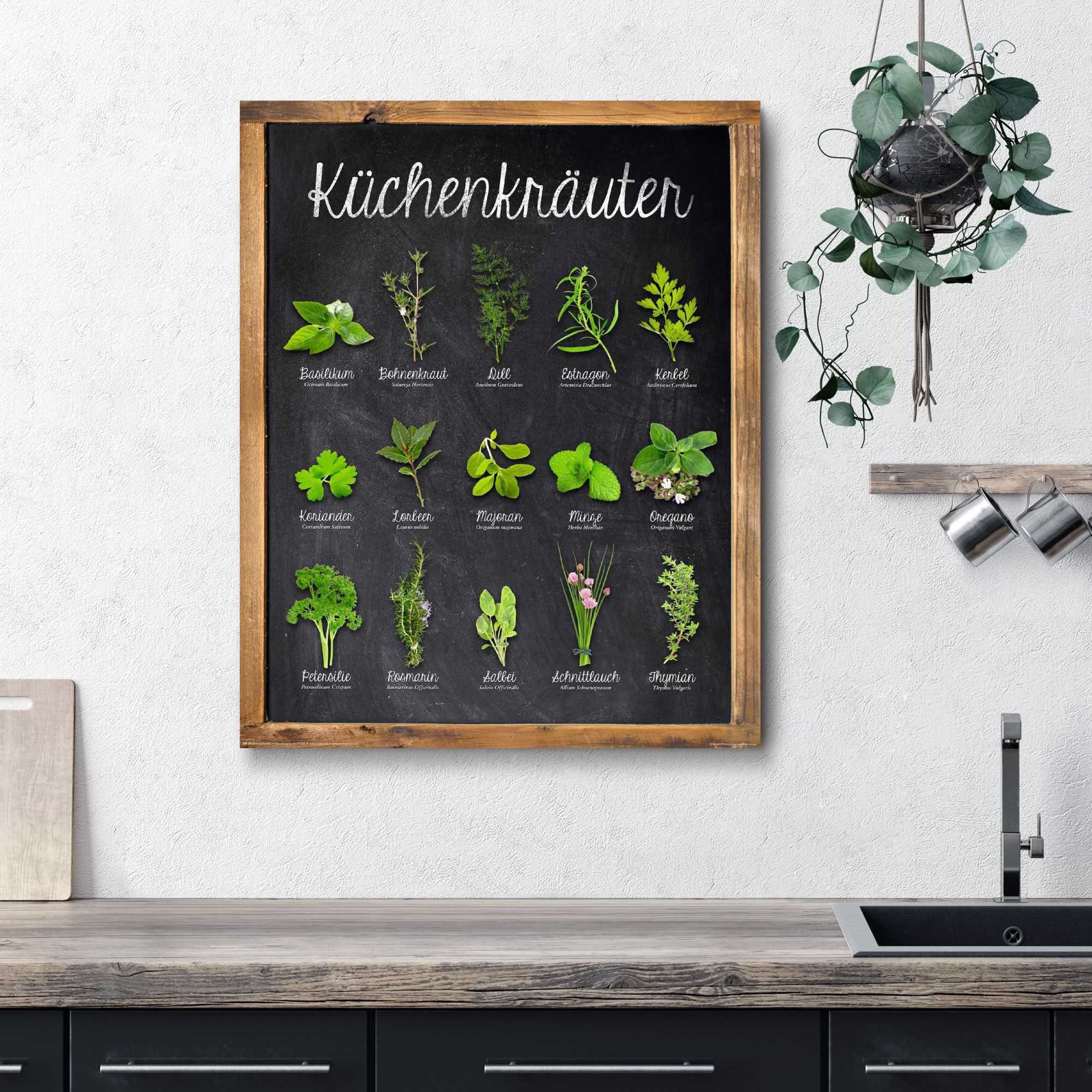 Home affaire Decoratief paneel Keukenkruiden