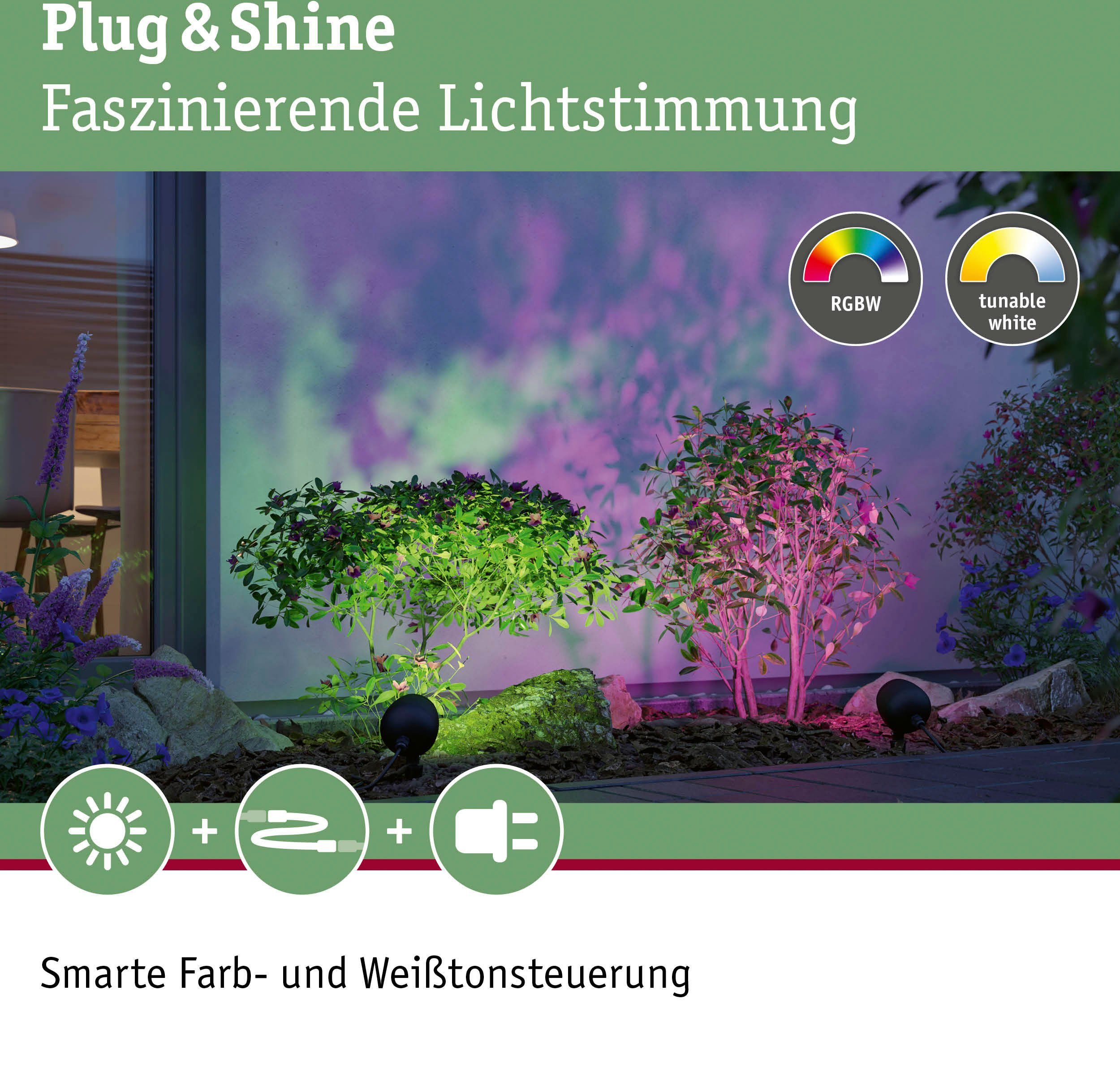 Paulmann Led-tuinverlichting Buiten Plug & Shine Spot Kikolo RGBW ZigBee (1 stuk)