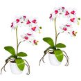 creativ green kunstplant vlinderorchidee in een keramische pot (set, 2 stuks) wit
