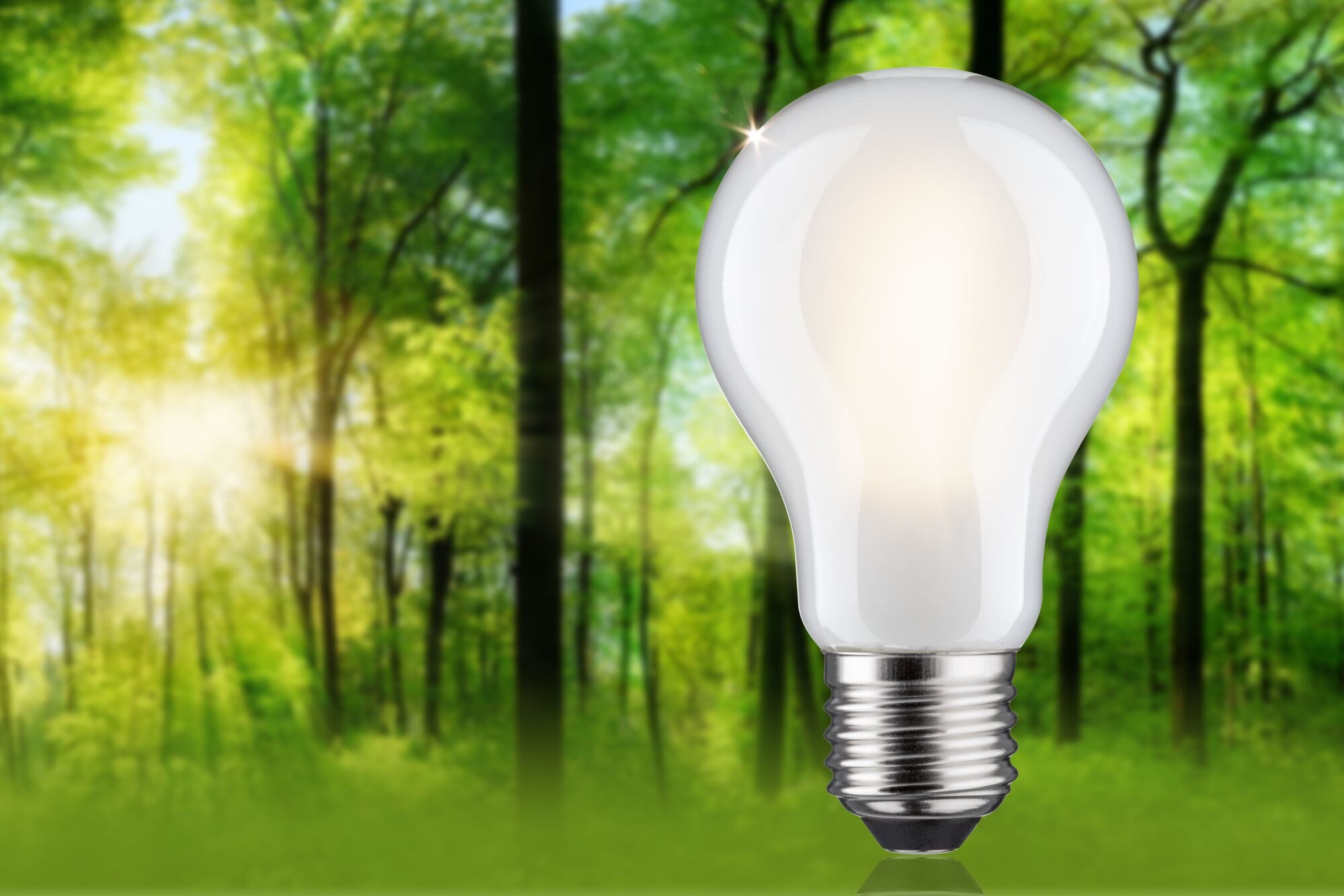 Paulmann Led-verlichting Eco-Line filament 230V LED-lamp E27 470lm 2,5W 3000K dimbaar mat (1 stuk)