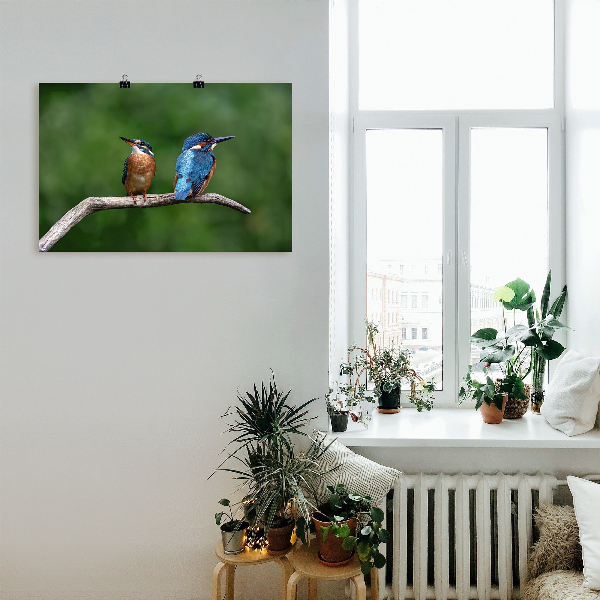 Artland Artprint Twee ijsvogels als artprint van aluminium, artprint voor buiten, poster in diverse formaten