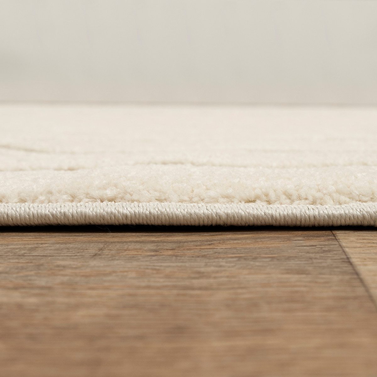 The carpet Vloerkleed Everest moderne woonkamer tapijt met hoge pooldichtheid