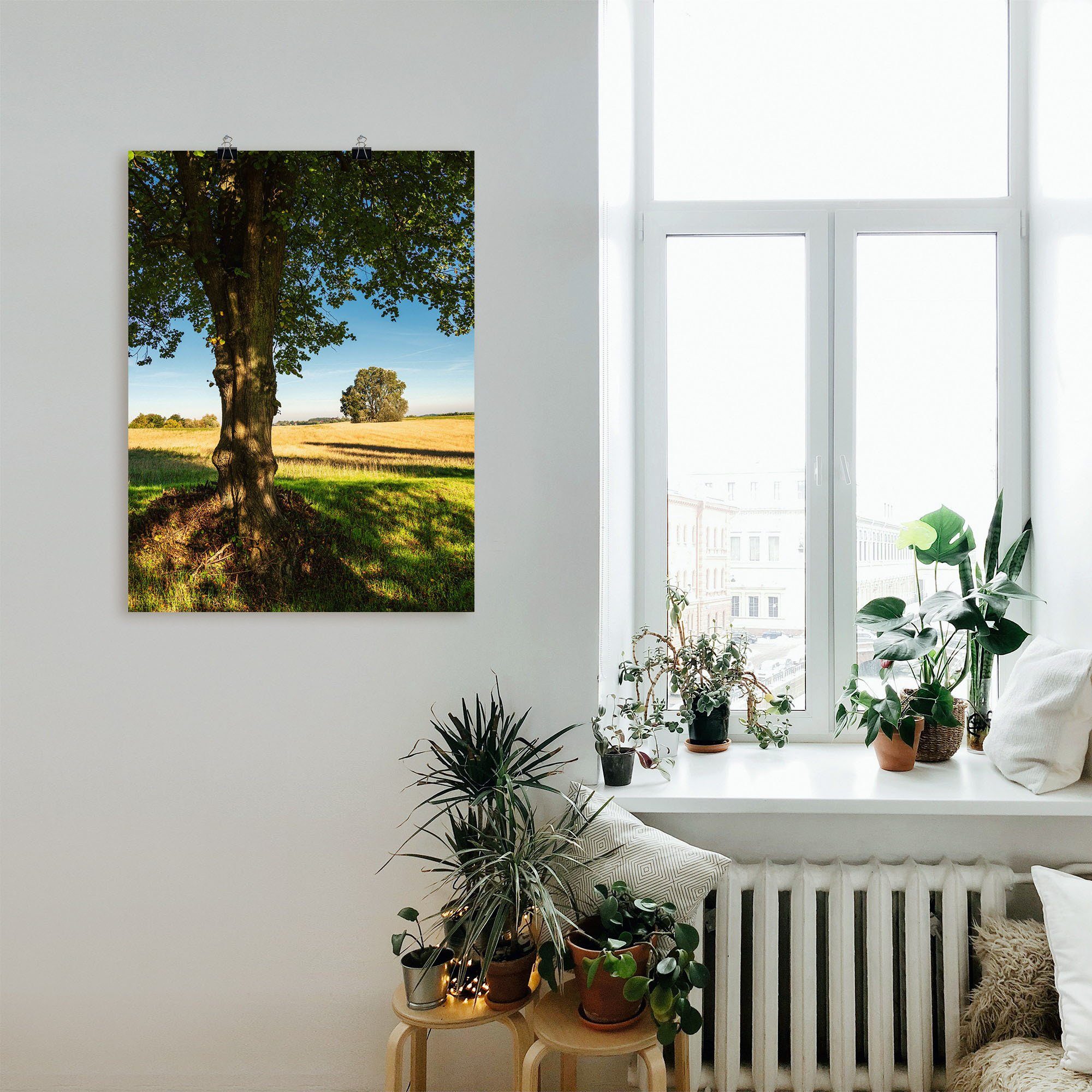 Artland Poster Veld en bomen bij Hohen Demzin als artprint van aluminium, artprint op linnen, muursticker of poster in verschillende maten