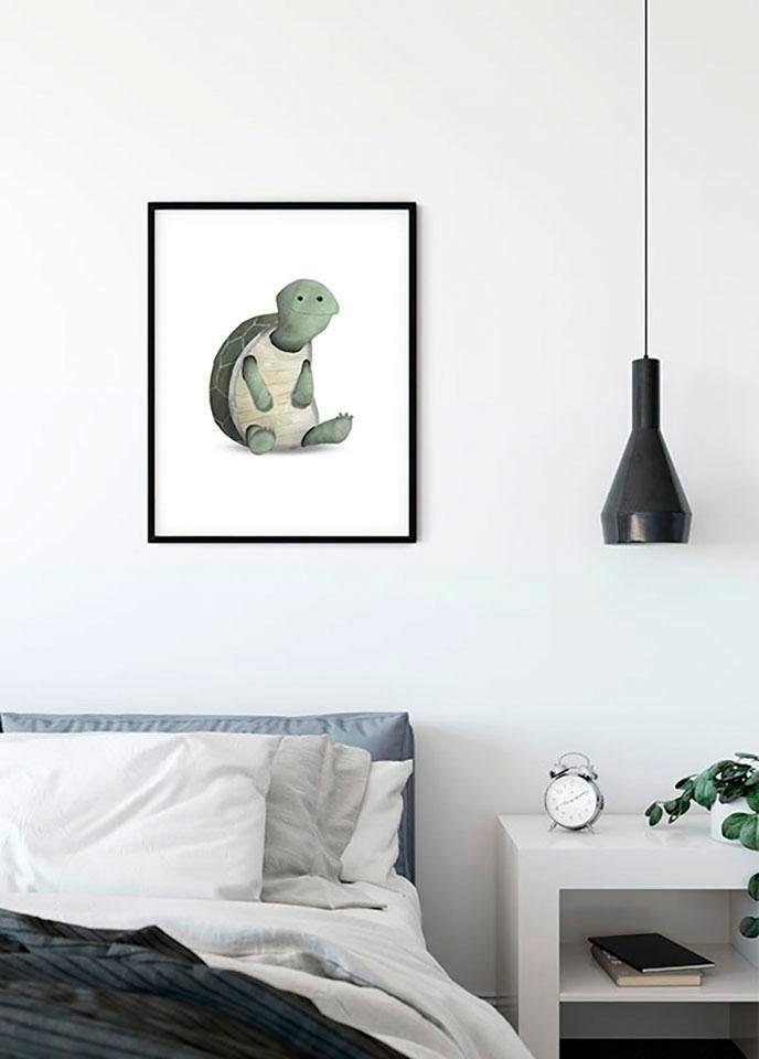 Komar XXL poster Cute Animal Turtle