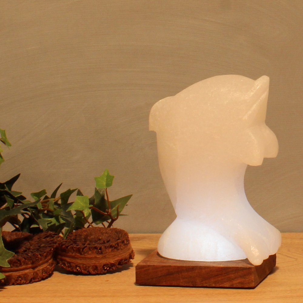 HIMALAYA SALT DREAMS Zoutkristal-tafellamp Dolfijn Met de hand gemaakt van zoutkristal - iedere steen uniek, H: ca.15 cm (1 stuk)