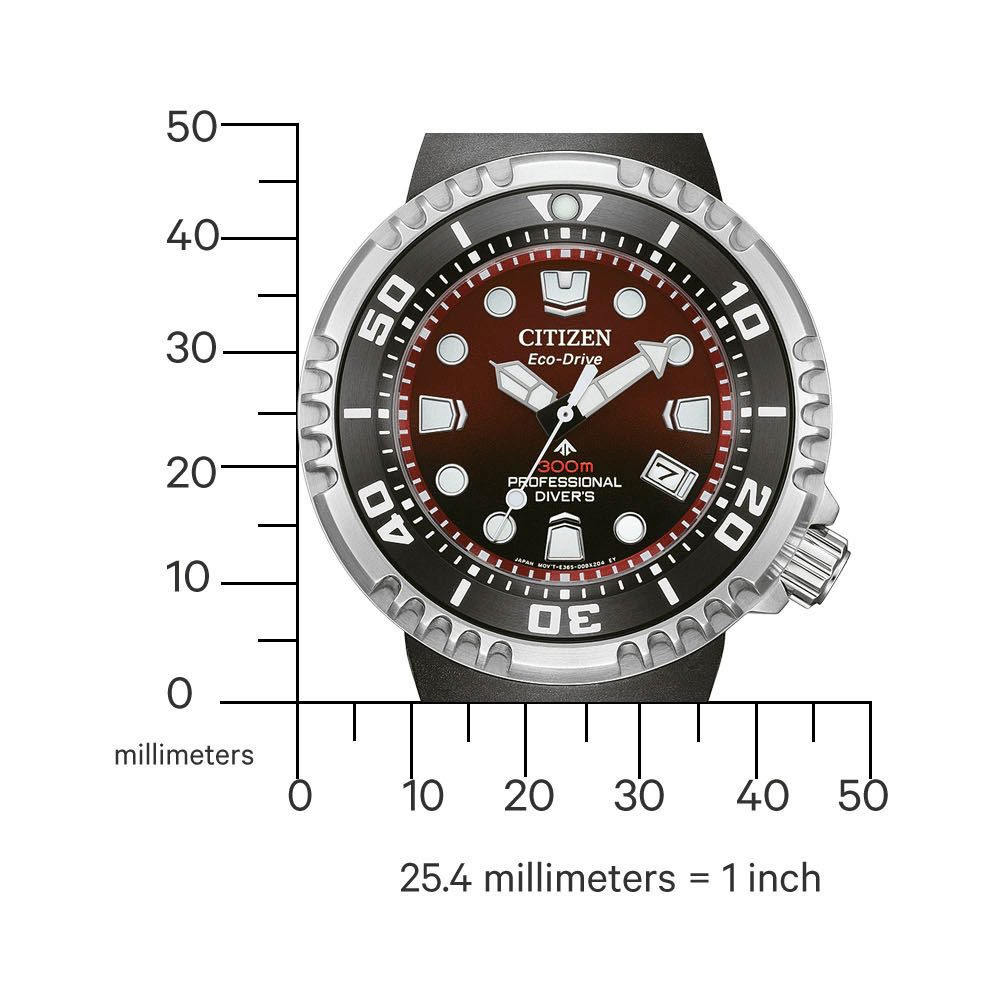 Citizen Duikhorloge Promaster Professional Diver 300