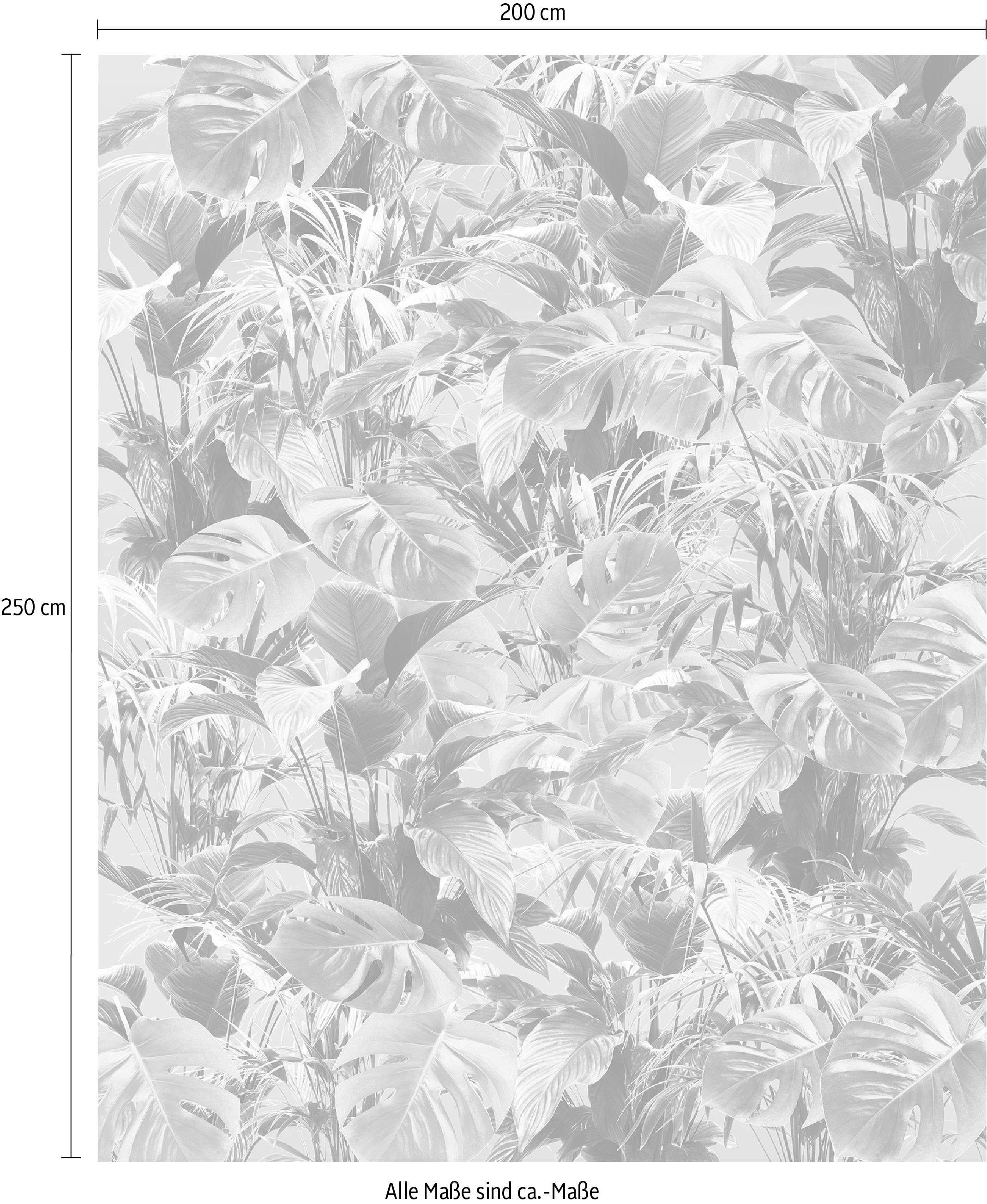 Komar Vliesbehang Digitale print vlies - Evergreen - Afmeting 200 x 250 cm (1 stuk)