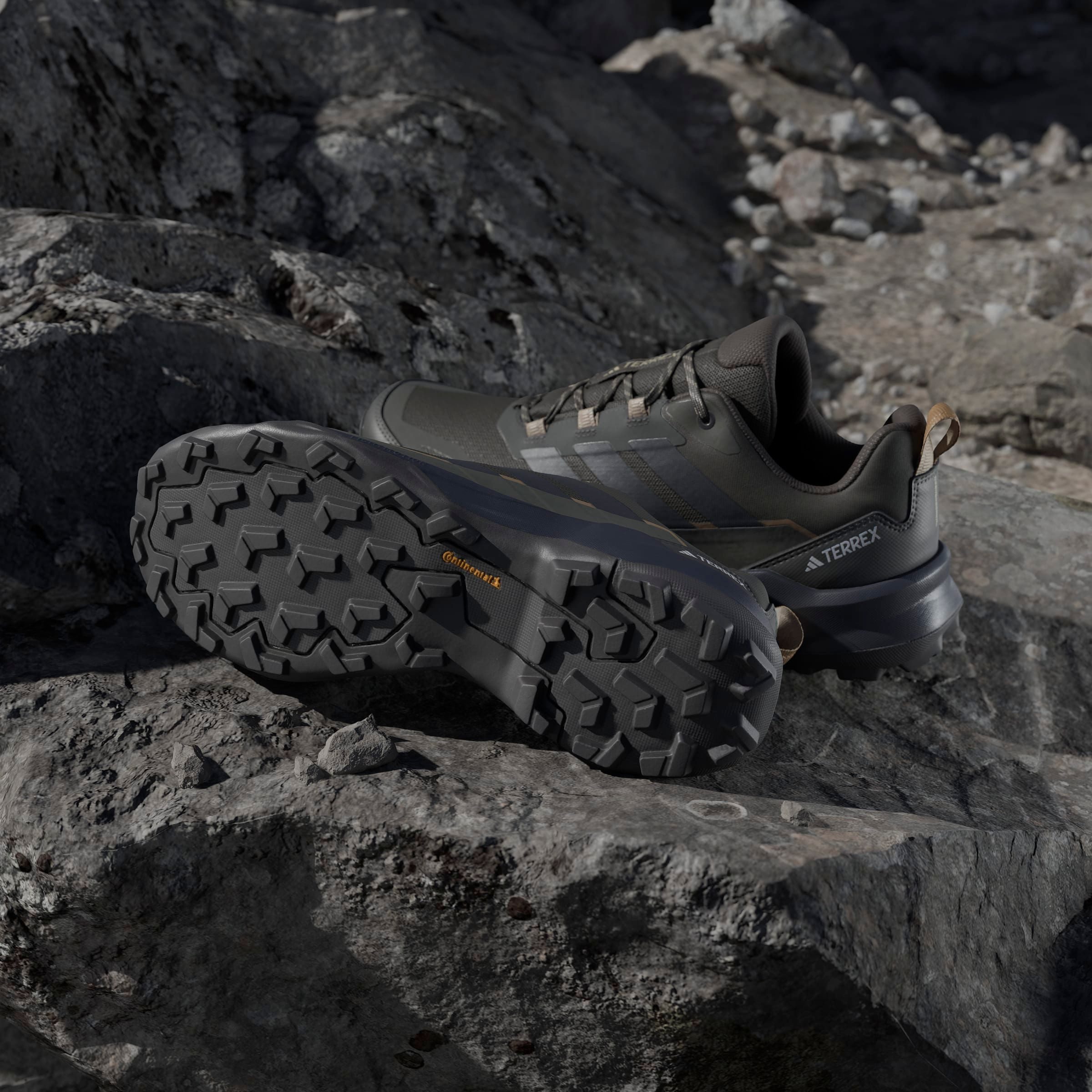 adidas TERREX Wandelschoenen TERREX SKYCHASER AX5 E
