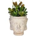 creativ green kunst-potplanten vetplanten-arrangement in pot van cement groen