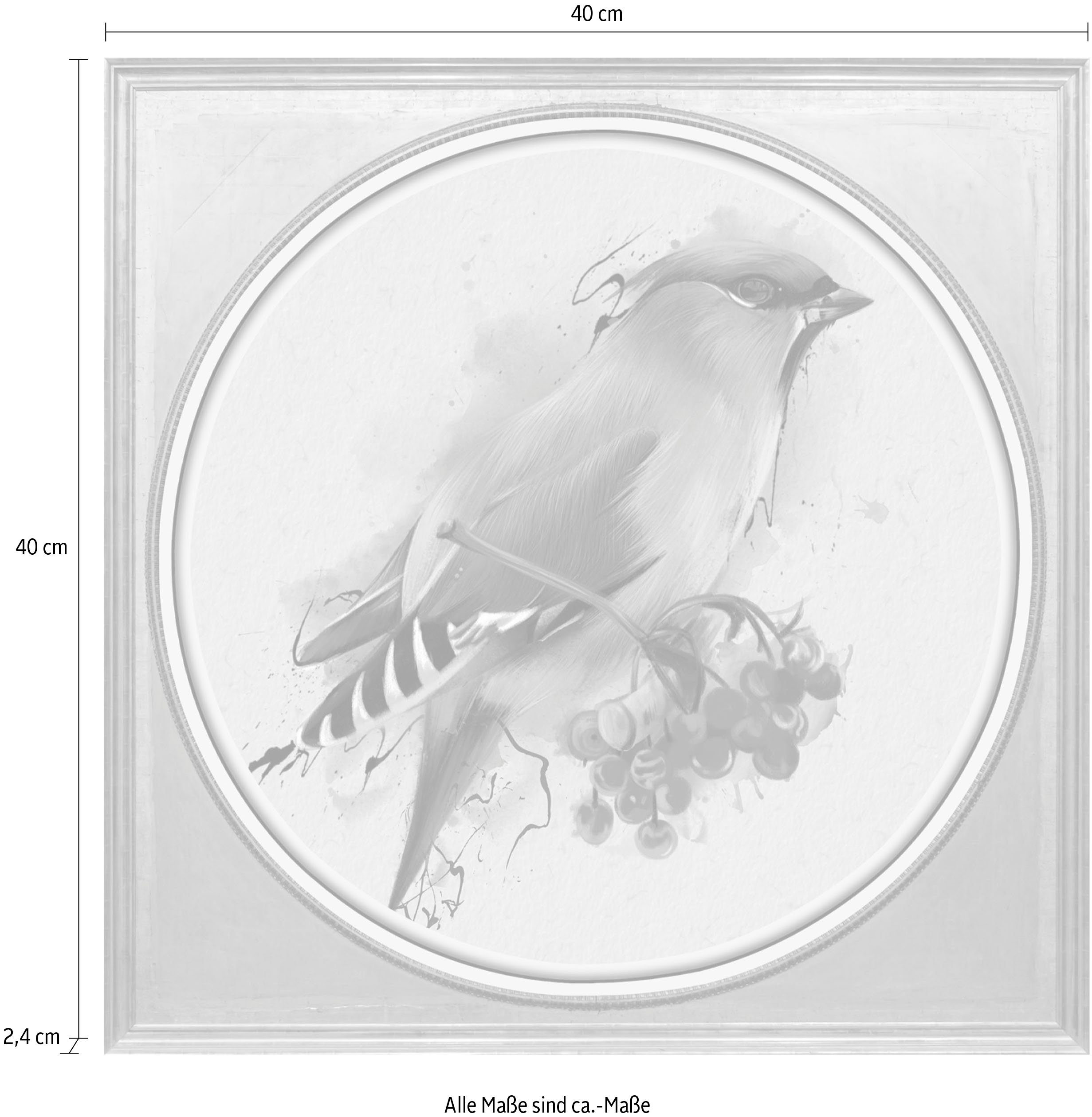 queence Artprint op acrylglas Vogel Fine Art-print in galeriekwaliteit