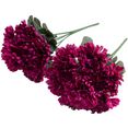 botanic-haus kunstbloem chrysanthemenstrauss (set, 2 stuks) roze