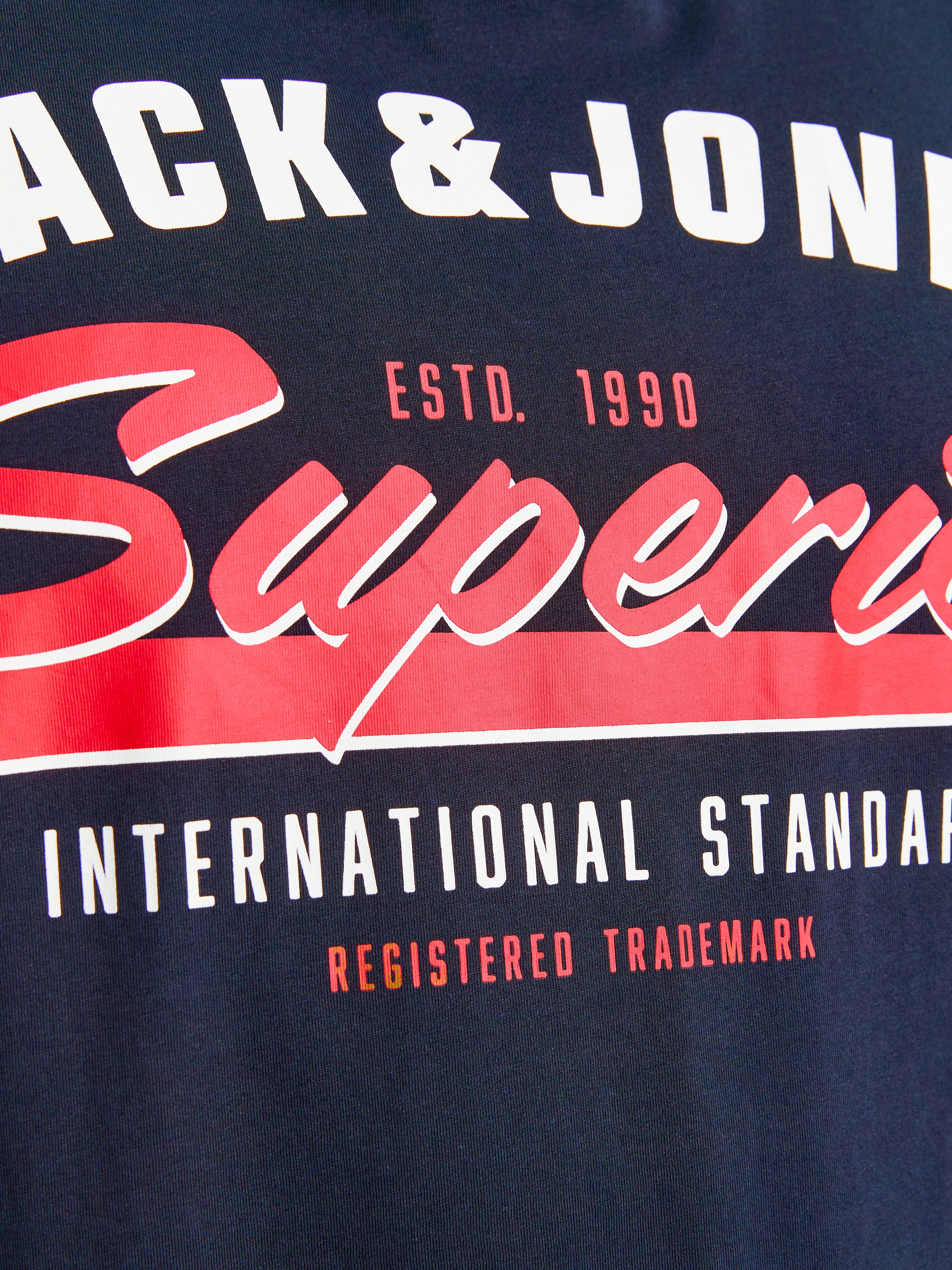 Jack & Jones PlusSize T-shirt JJELOGO TEE SS O-NECK 2 COL AW24 S PLS