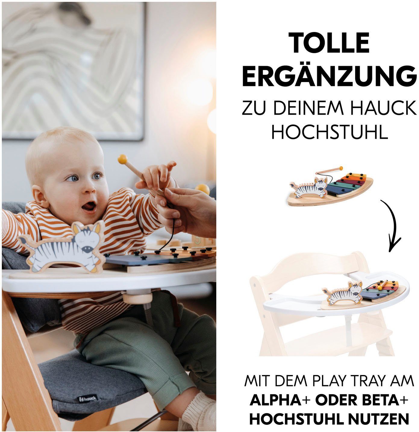 Hauck Speelgoed-muziekinstrument Play Music Zebra FSC®- beschermt bos - wereldwijd