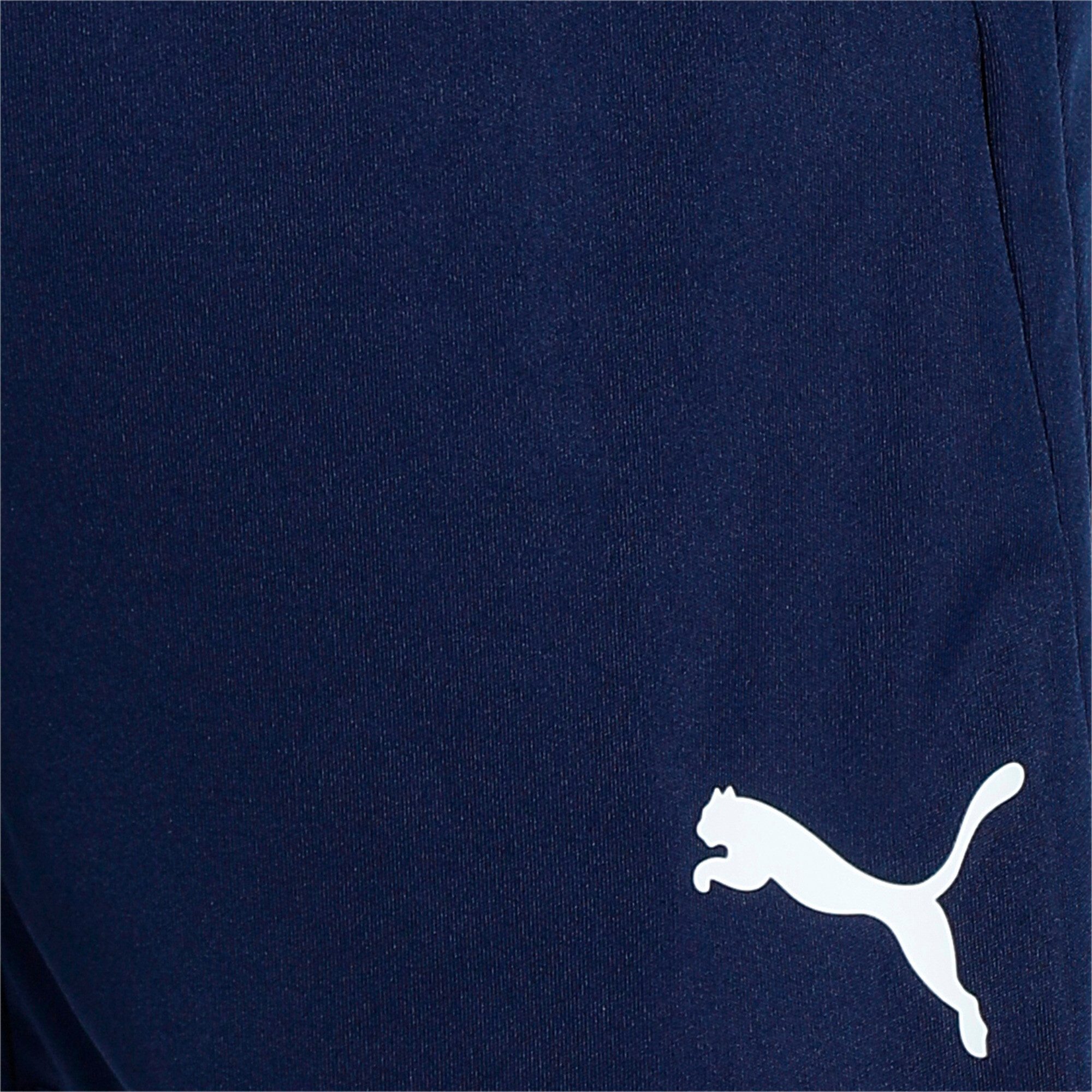 PUMA Trainingsshort TEAMLIGA TRAINING SHORTS