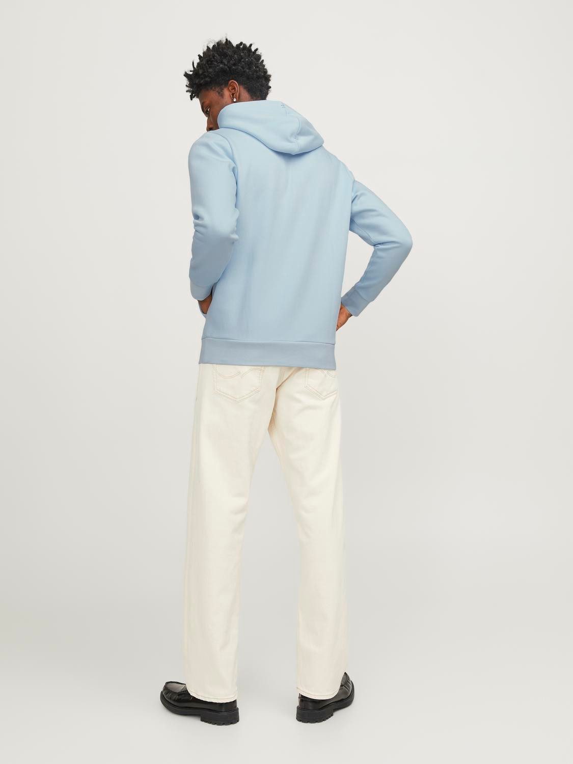 Jack & Jones Hoodie JPRBLUARCHIE SWEAT HOOD NOOS