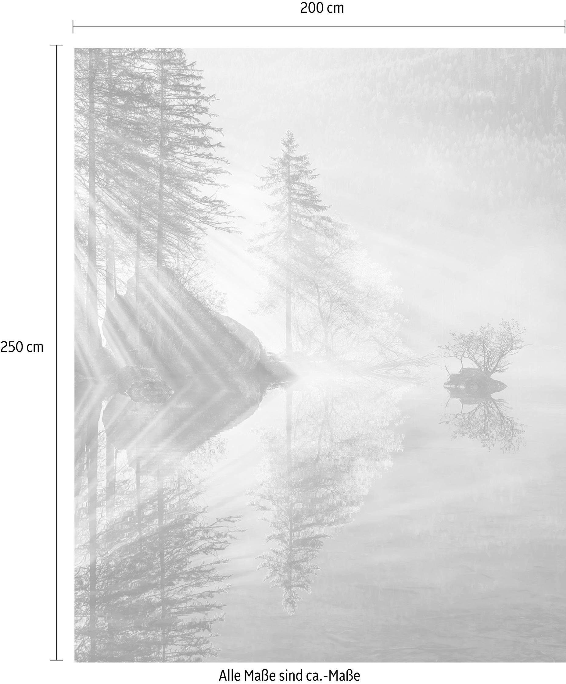 Komar Vliesbehang Digitale print vlies - Indulgence of Beauty - Afmeting 200 x 250 cm (1 stuk)
