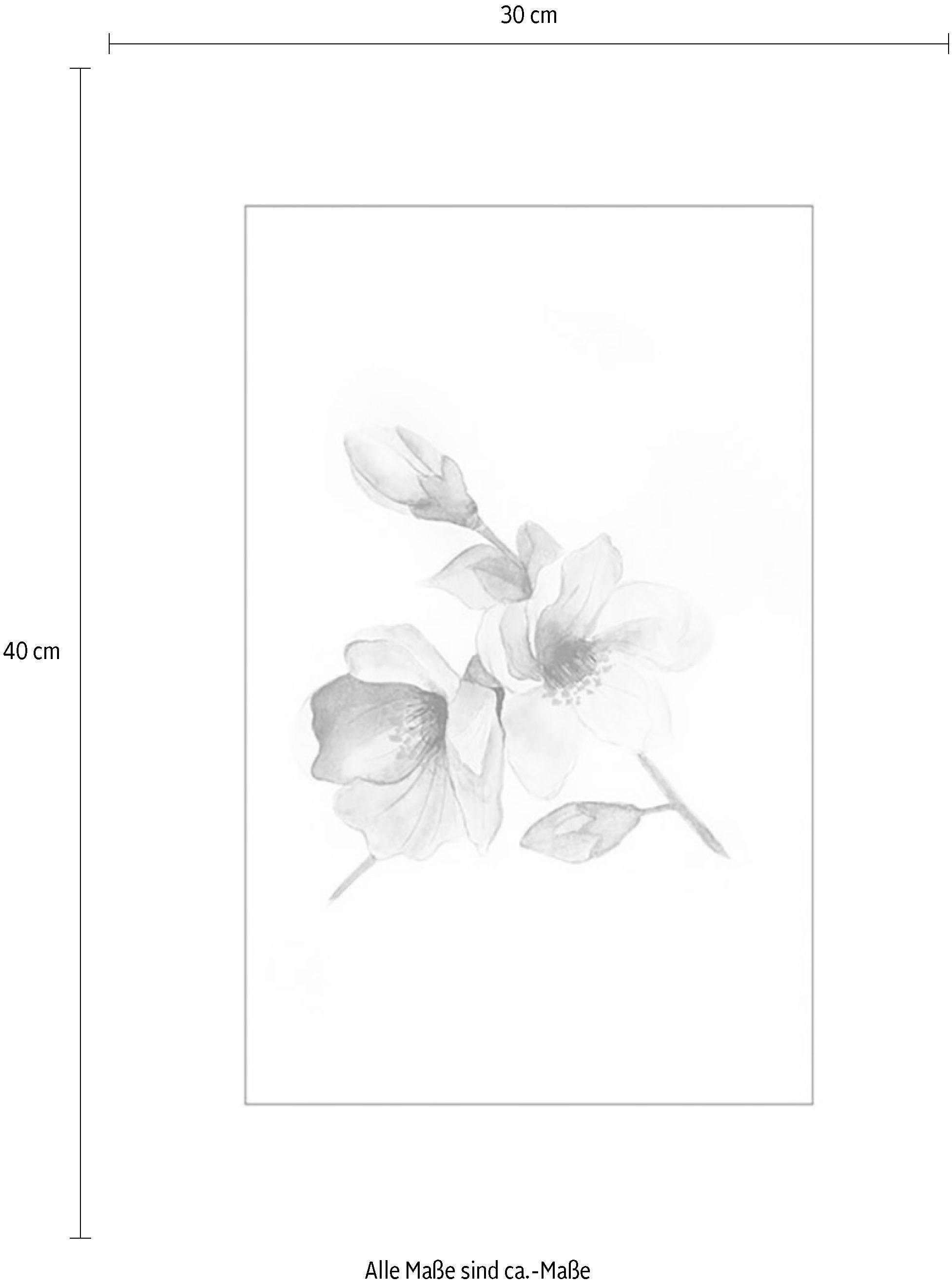 Komar Wanddecoratie Magnolia Breathe Wanddecoratie - zonder lijst (1 stuk)