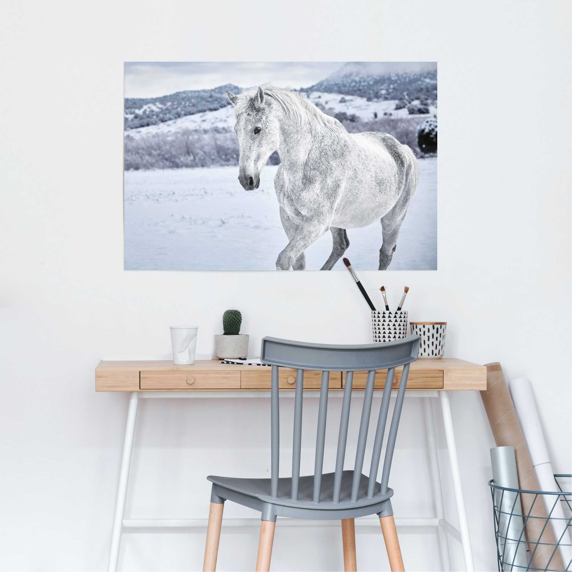 Reinders! Poster Paard in de sneeuw