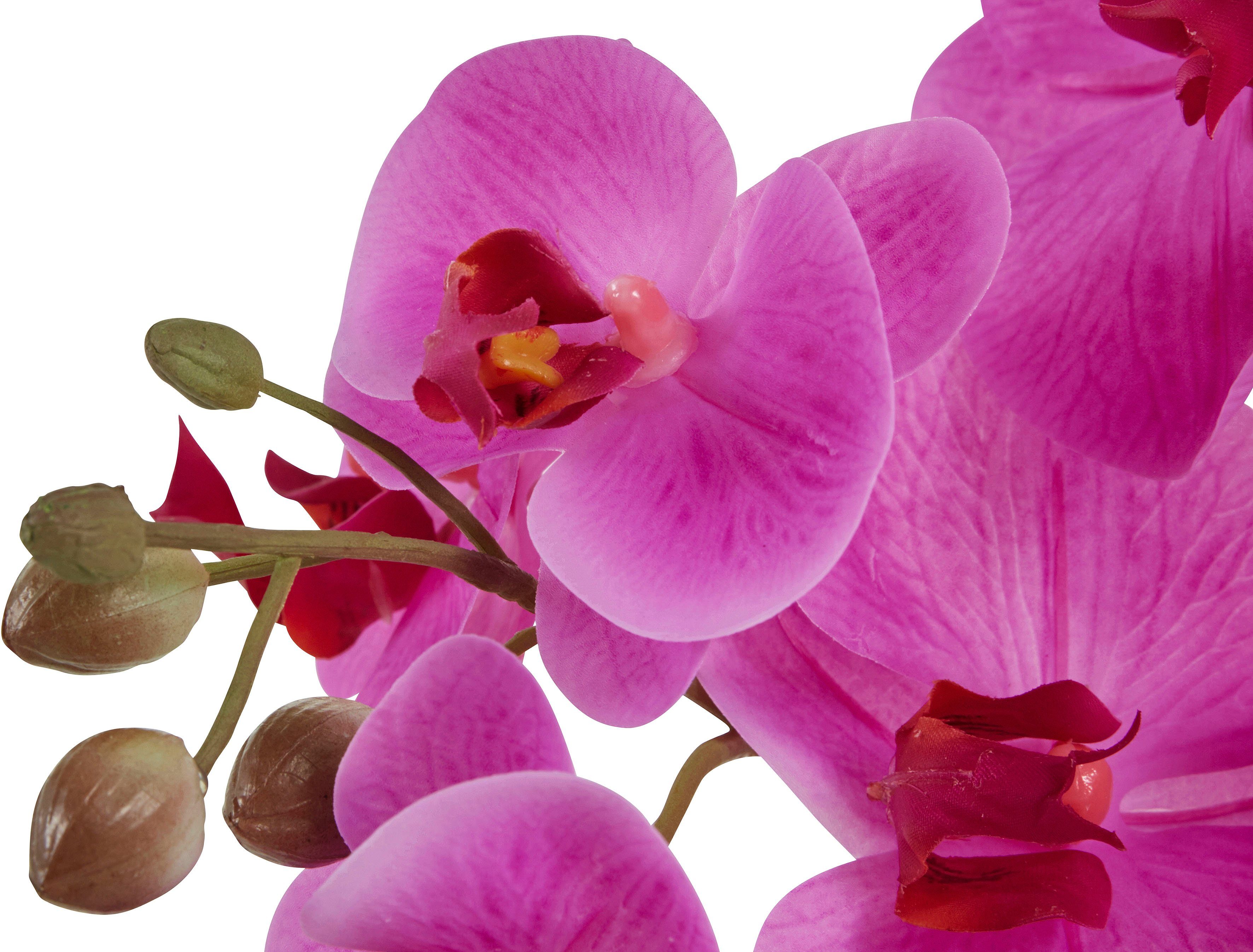 Leonique Kunstplant Orchidee Kunstorchidee, in pot, bestseller, meer dan 2500 4,5-sterren beoordelingen (1 stuk)