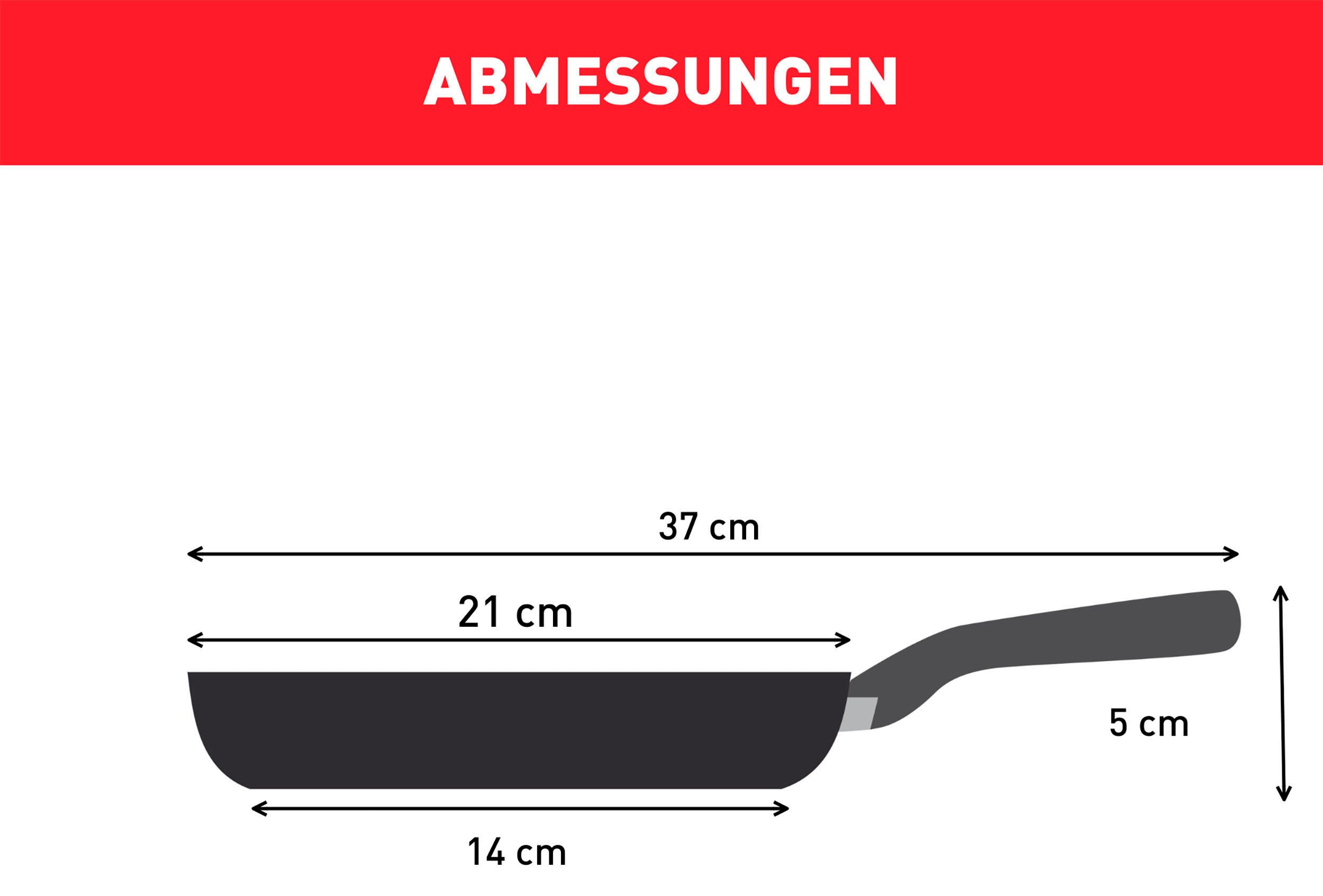Tefal Koekenpan G28102 Black Stone Ø 20 cm Mineralia+ anti-aanbakverzegeling, thermo-signaal, inductiegeschikt