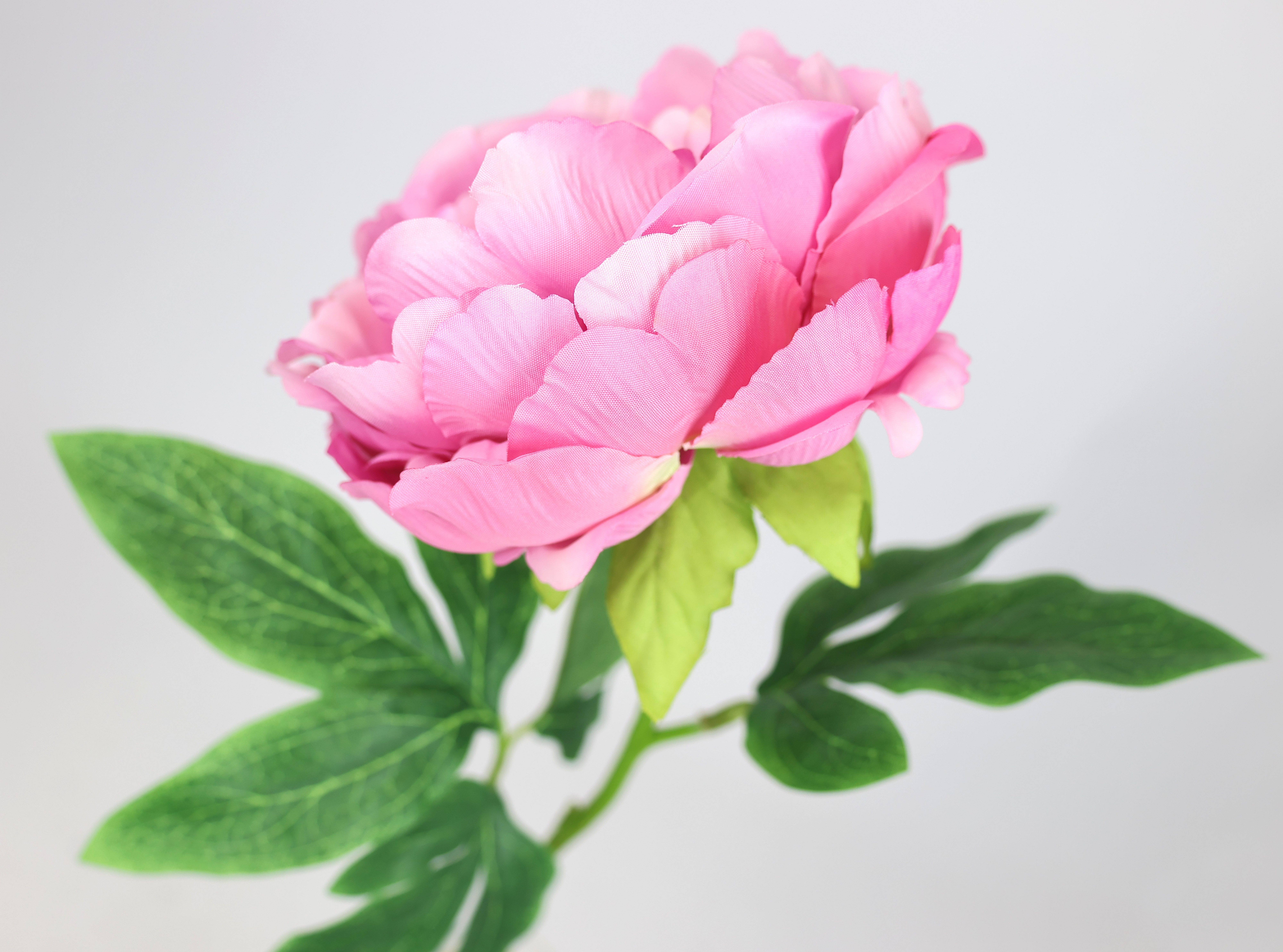 I.GE.A. Kunstbloem Pioenroos Pioenrozen enkele bloem, set van 3 (3 stuks)