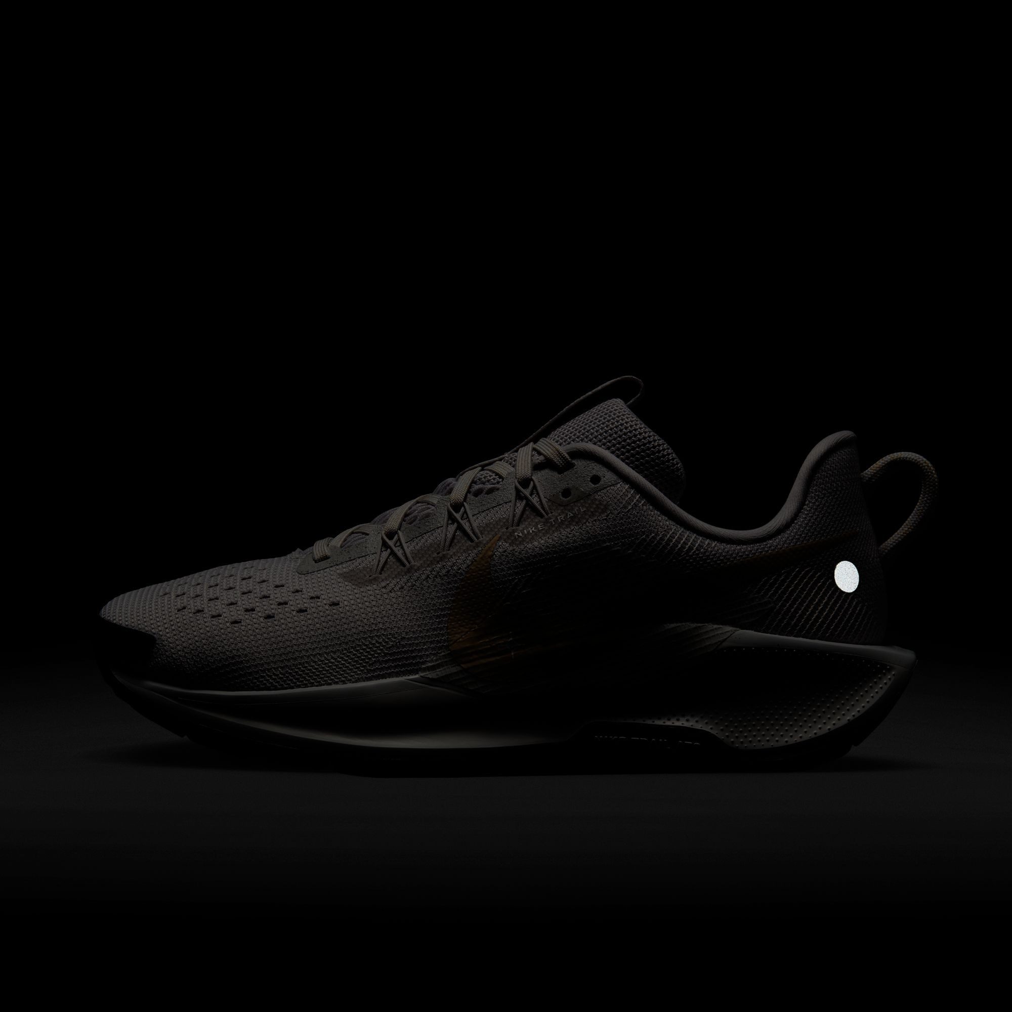 Nike Trailrunningschoenen W REACTX PEGASUS TRAIL 5