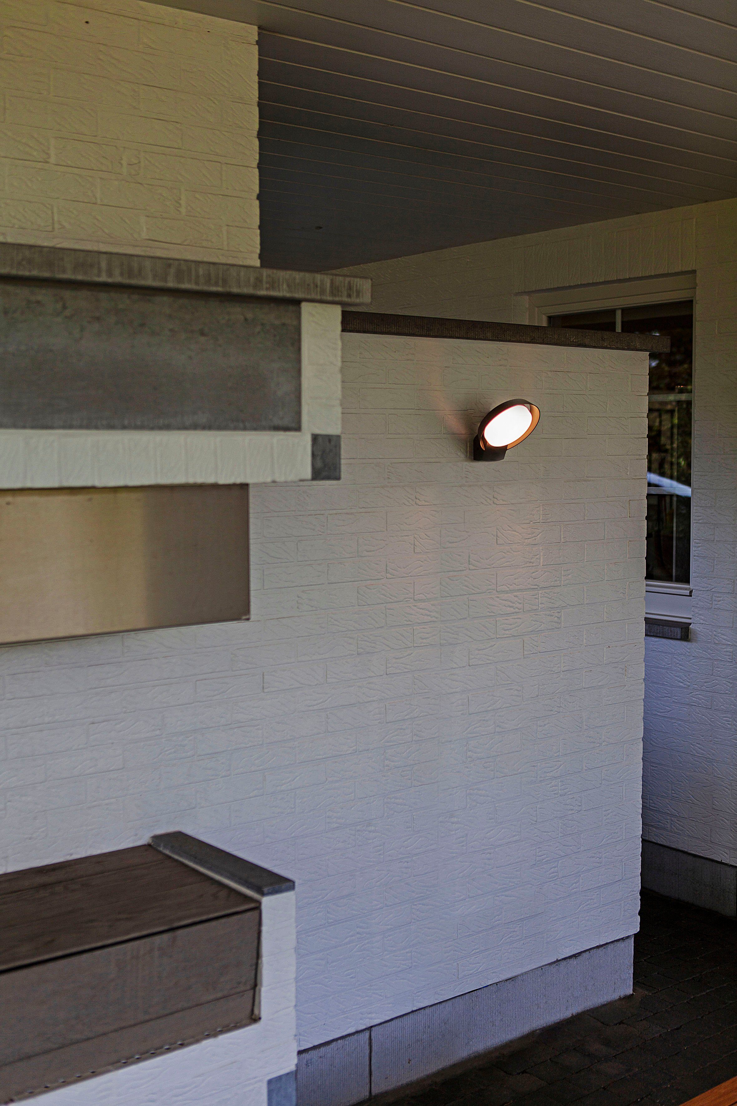LUTEC Ledwandlamp voor buiten Polo (1 stuk)