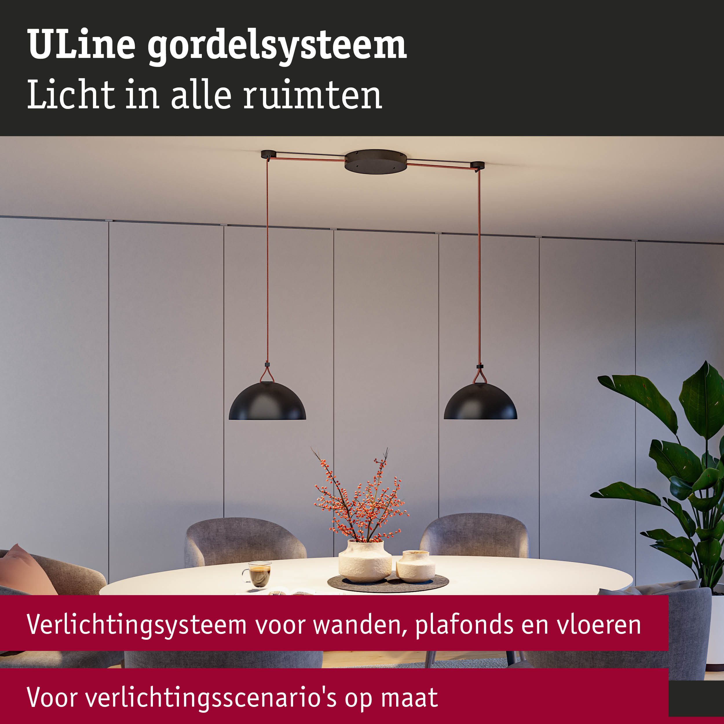 Paulmann Hanglamp ULine riem 10m