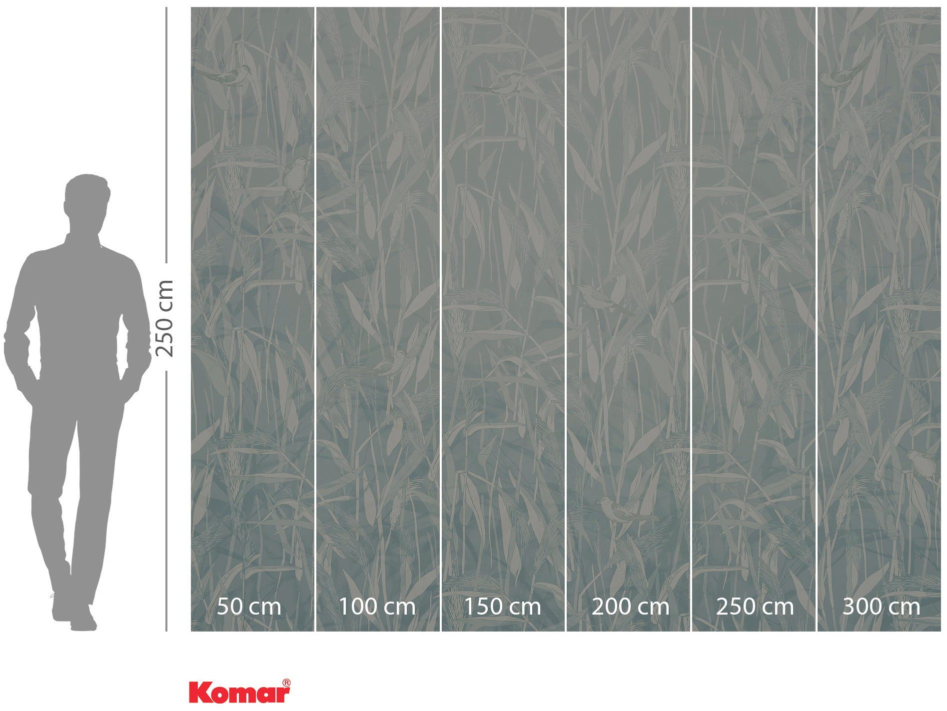 Komar Vliesbehang Digitale print vlies - Reed - Afmeting 300 x 250 cm (1 stuk)
