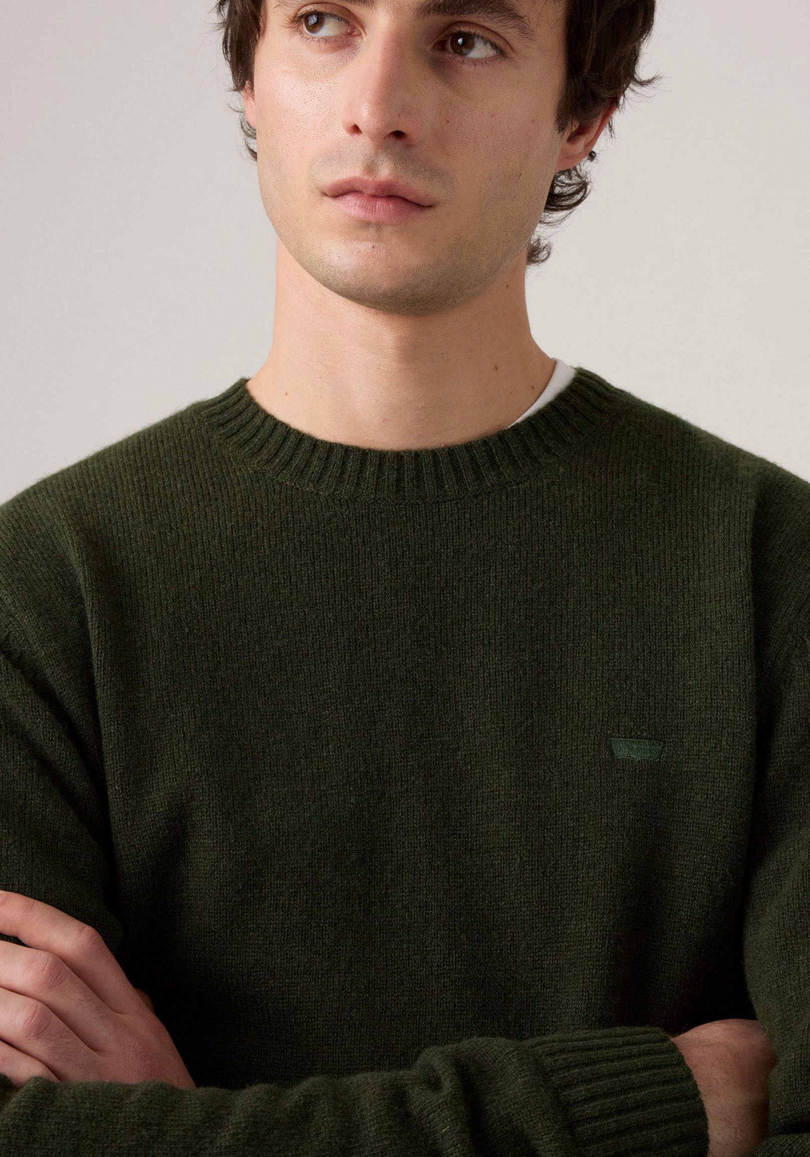 Levi's® Wollen trui ORIGINAL HM SWEATER in klassieke ronde halsvorm