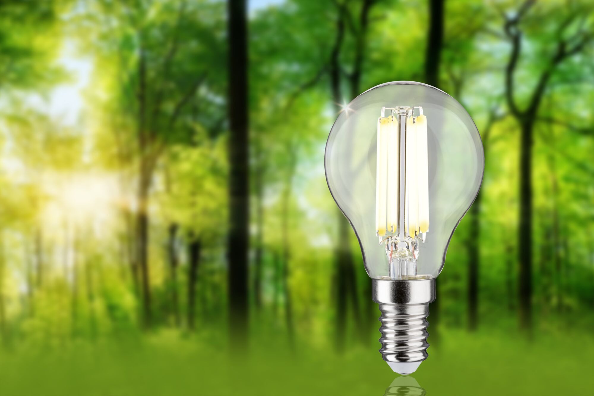 Paulmann Led-verlichting Eco-Line filament 230V LED druppel E14 1-set 525lm 2,5W 4000K helder (1 stuk)