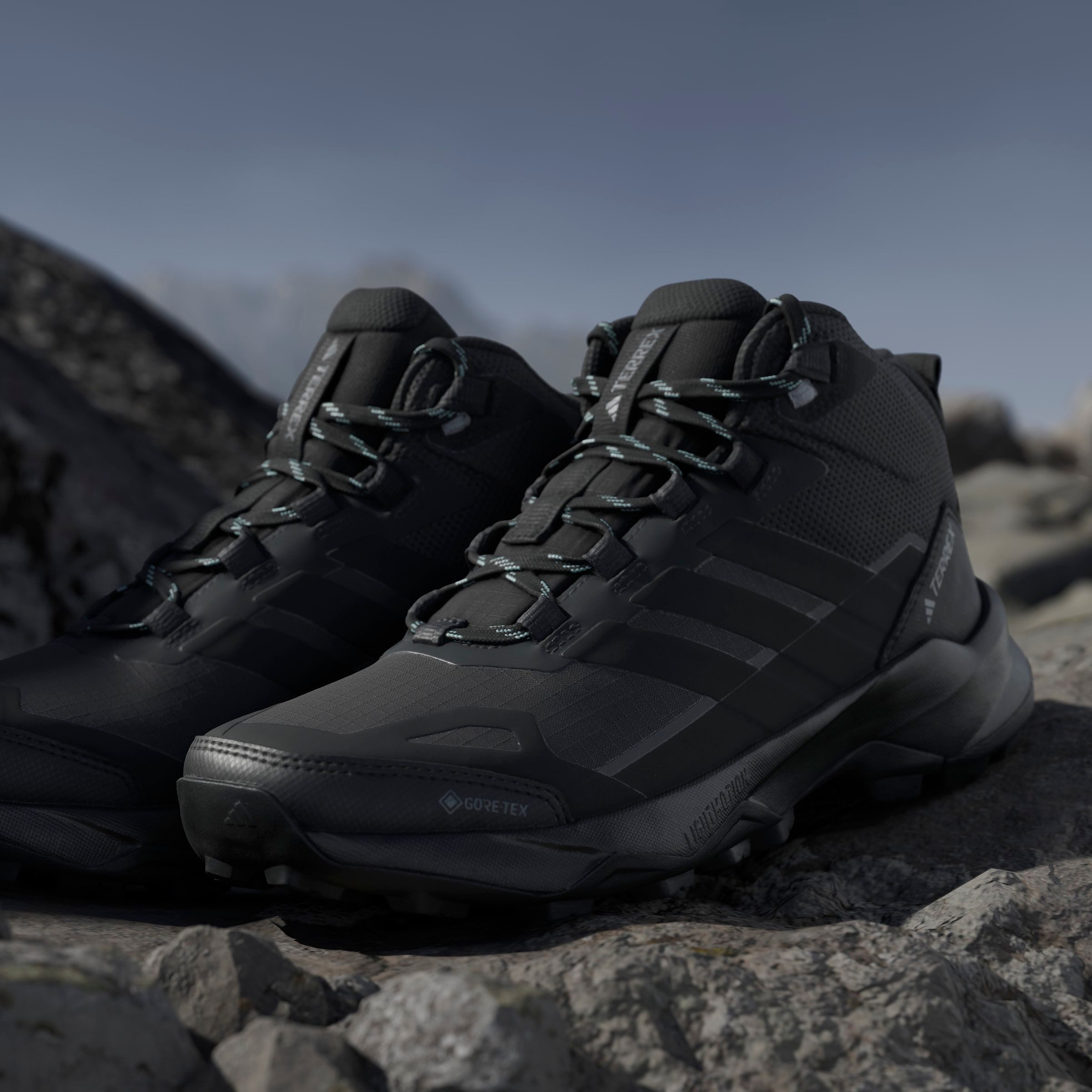 adidas TERREX Wandelschoenen TERREX SKYCHASER AX5 MID GORE-TEX E