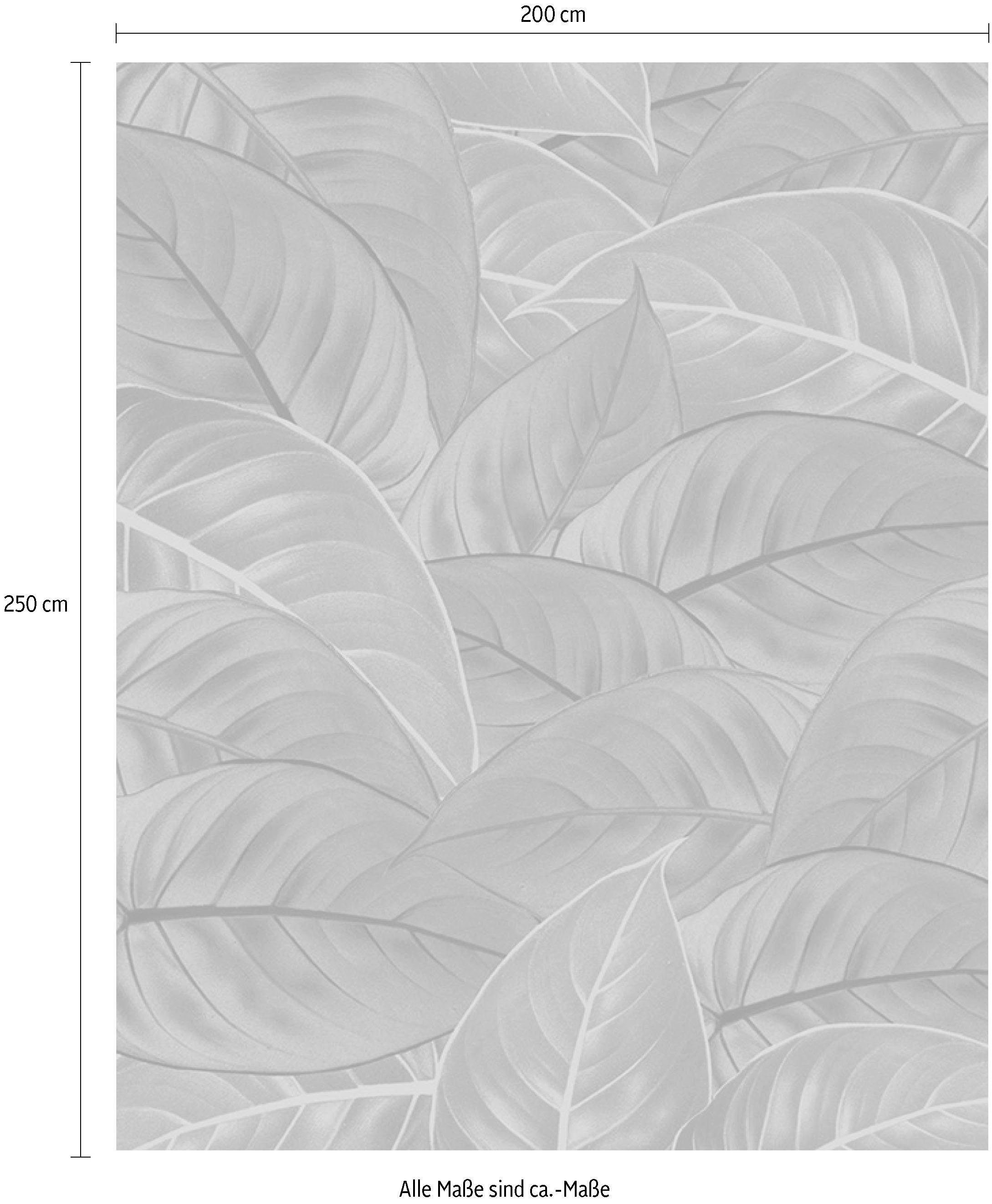 Komar Vliesbehang Digitale print vlies - Jungle Leaves - Afmeting 200 x 250 cm (1 stuk)