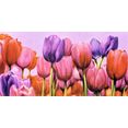 my home decoratief paneel cortese - campo di tulipani (1 stuk) multicolor