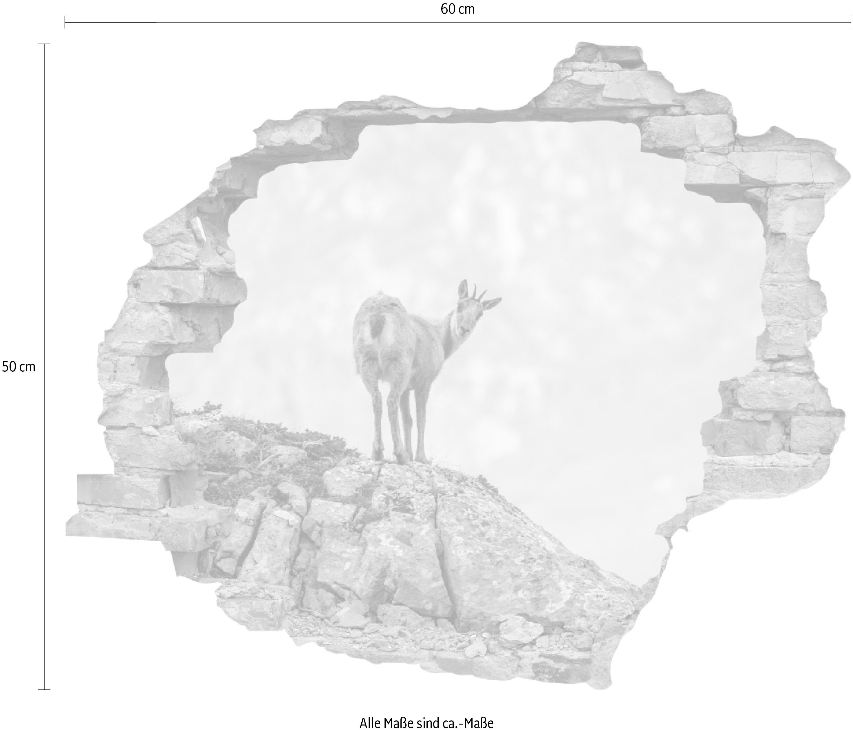 queence Wandfolie Gams Muursticker, muurdecoratie, zelfklevend, 3D, muurdurchbraak (1 stuk)
