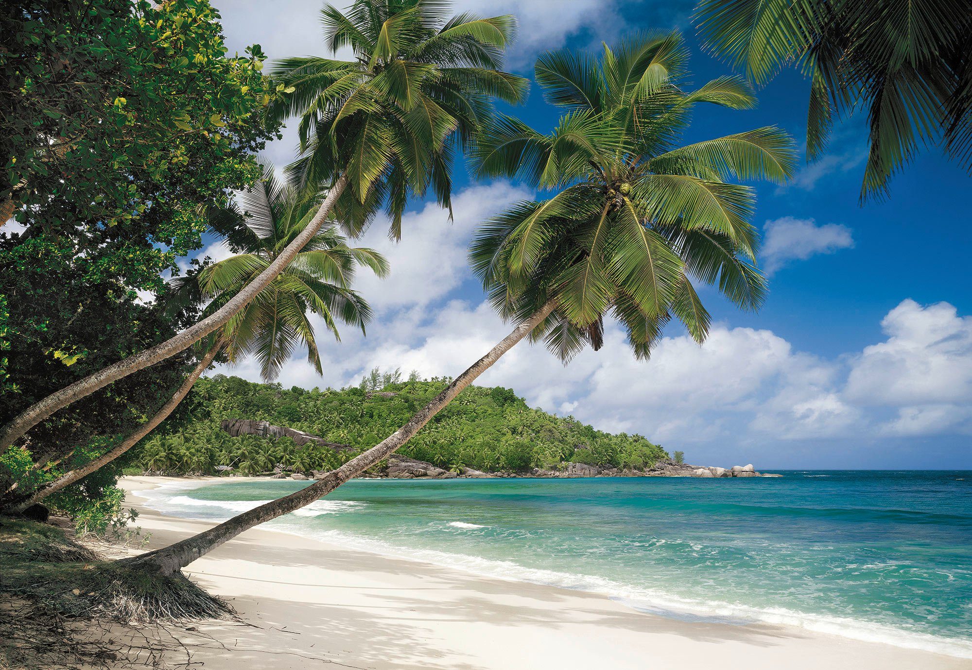 Fotobehang “Vakantie” Seychellen