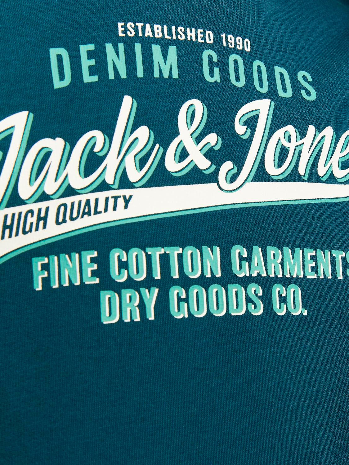 Jack & Jones Junior Hoodie JJELOGO SWEAT HOOD 2 COL 24 25 NOOS JNR
