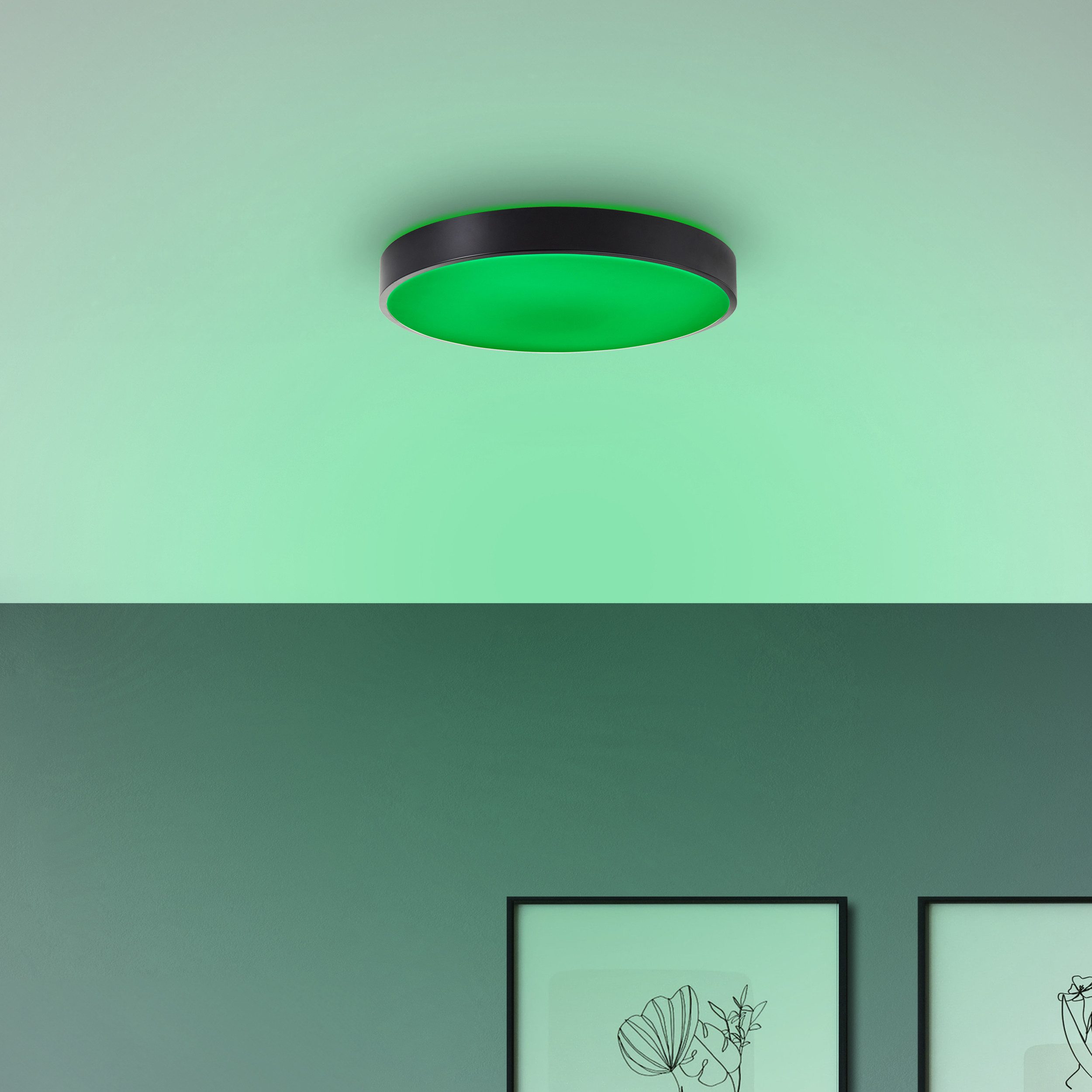 Brilliant Leuchten Led-plafondlamp VADIN Smart home lamp, Ø 49 cm, 3000-6500 K, 3500 lm, RGB, dimbaar