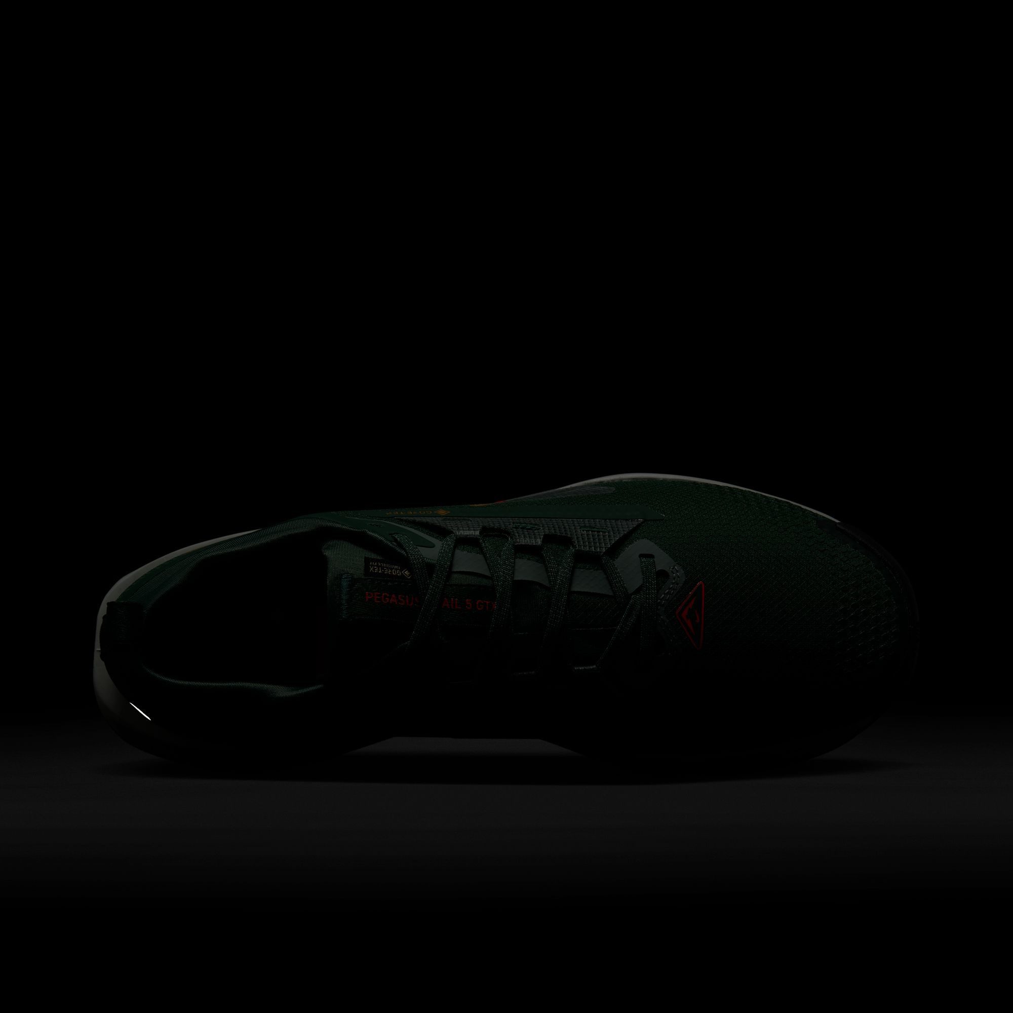 Nike Runningschoenen NIKE PEGASUS TRAIL 5 GTX