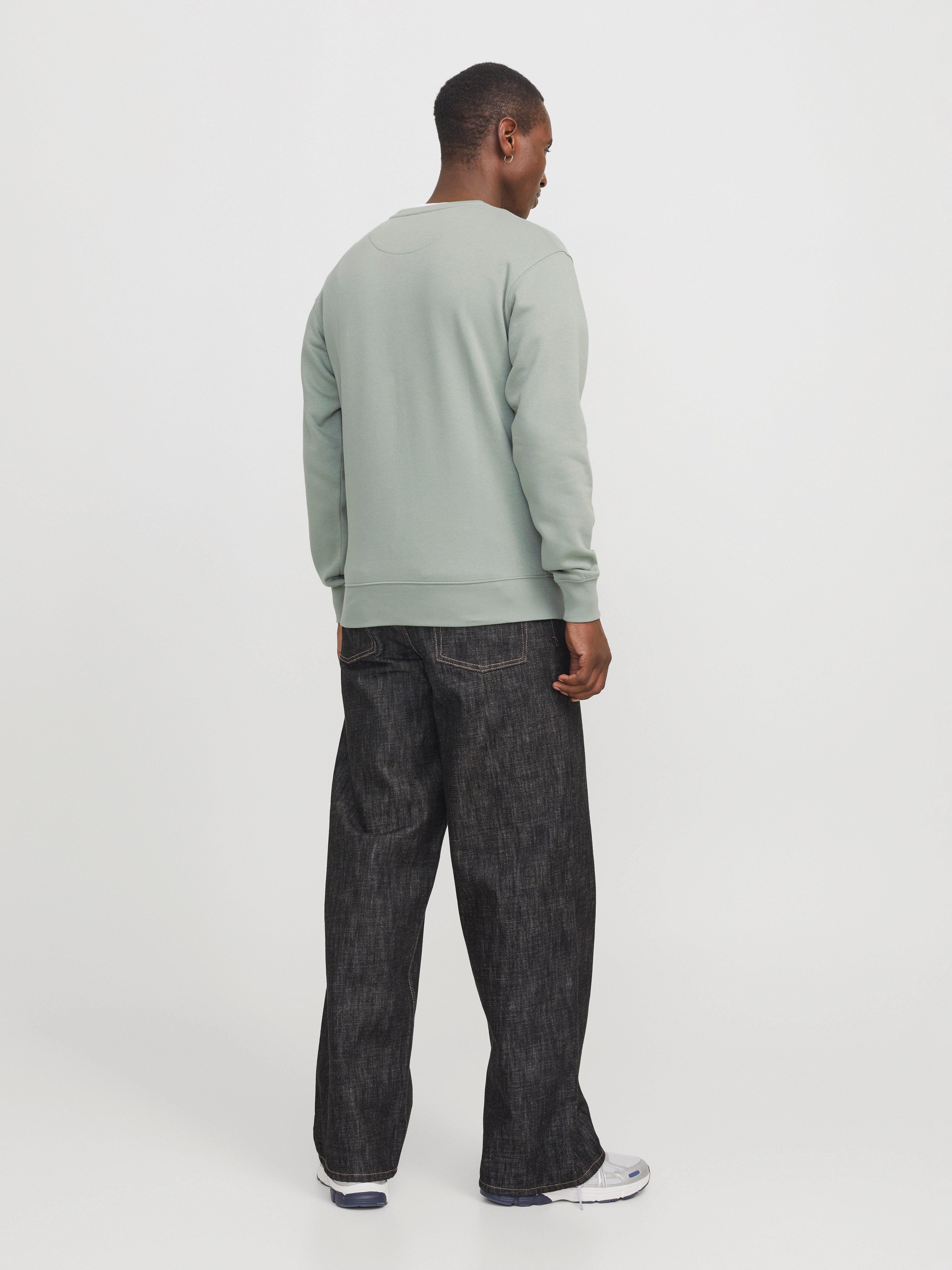 Jack & Jones Sweatshirt JJESTAR BASIC SWEAT CREW NECK NOOS