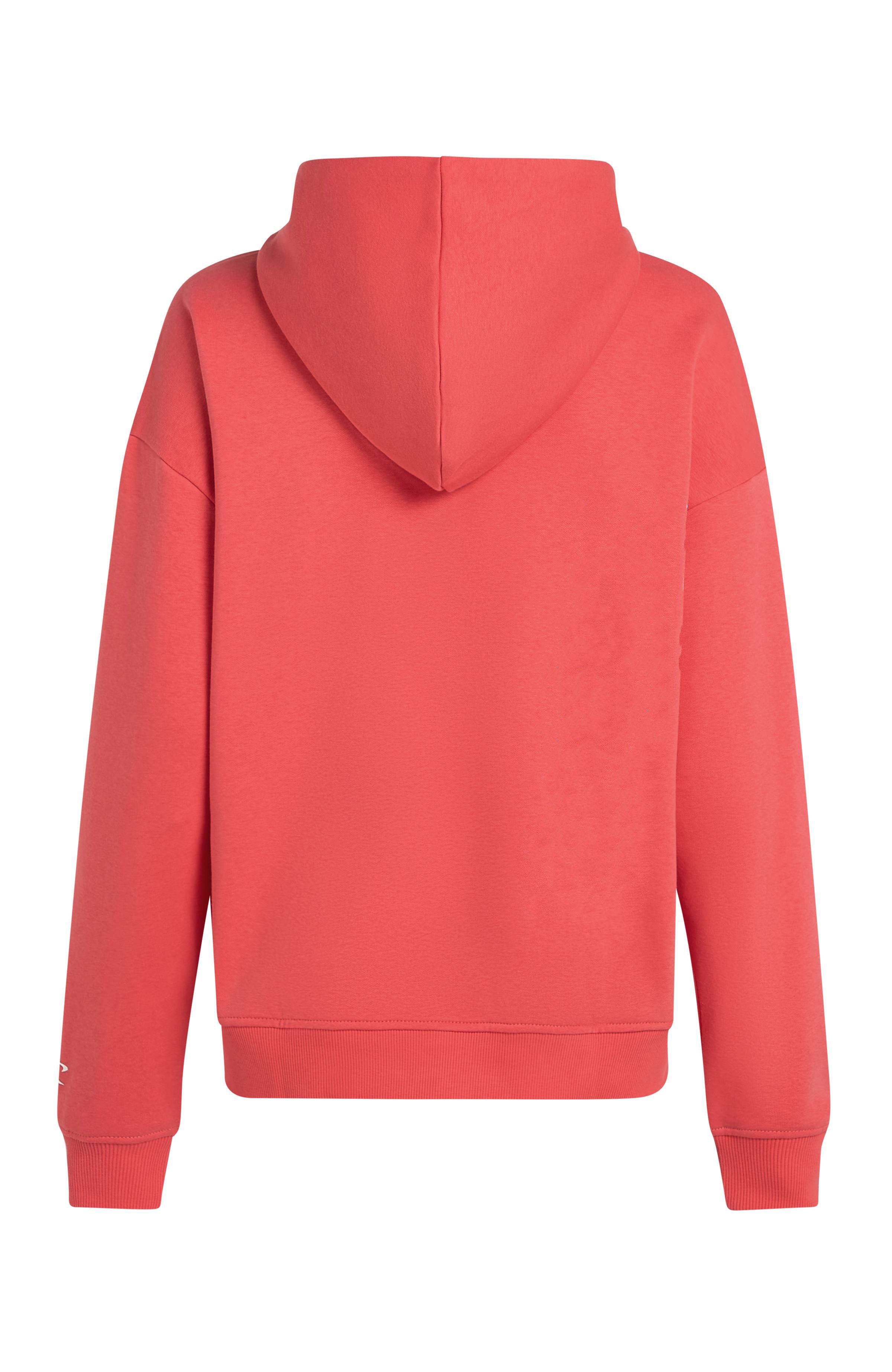 O'Neill Hoodie Future Surf Society Hoodie