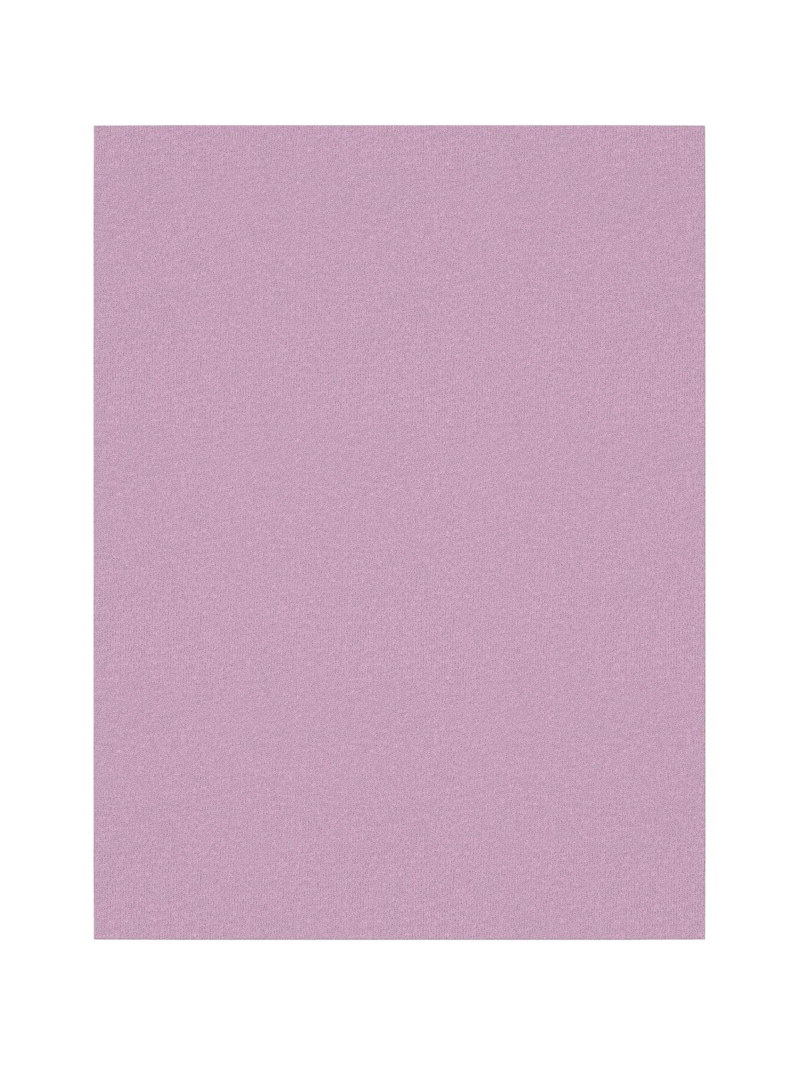 Name It Slipje NMFBRIEFS 3P PASTEL LILAC HORSE NOOS (set, 3 stuks)
