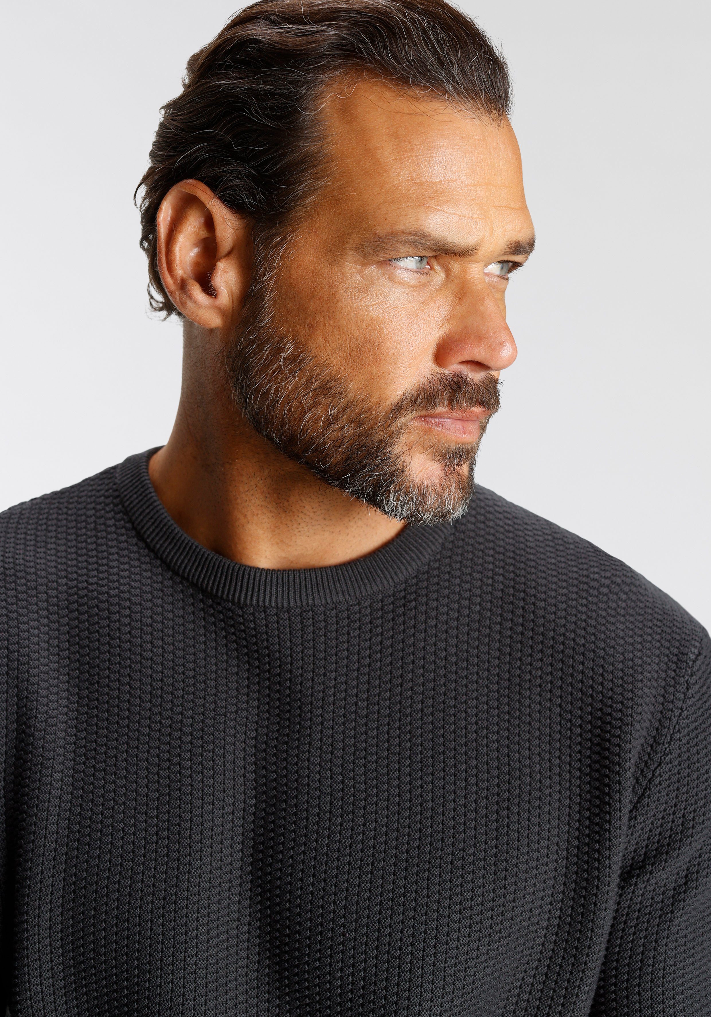 H.I.S Trui met ronde hals in bijzondere tricot-look