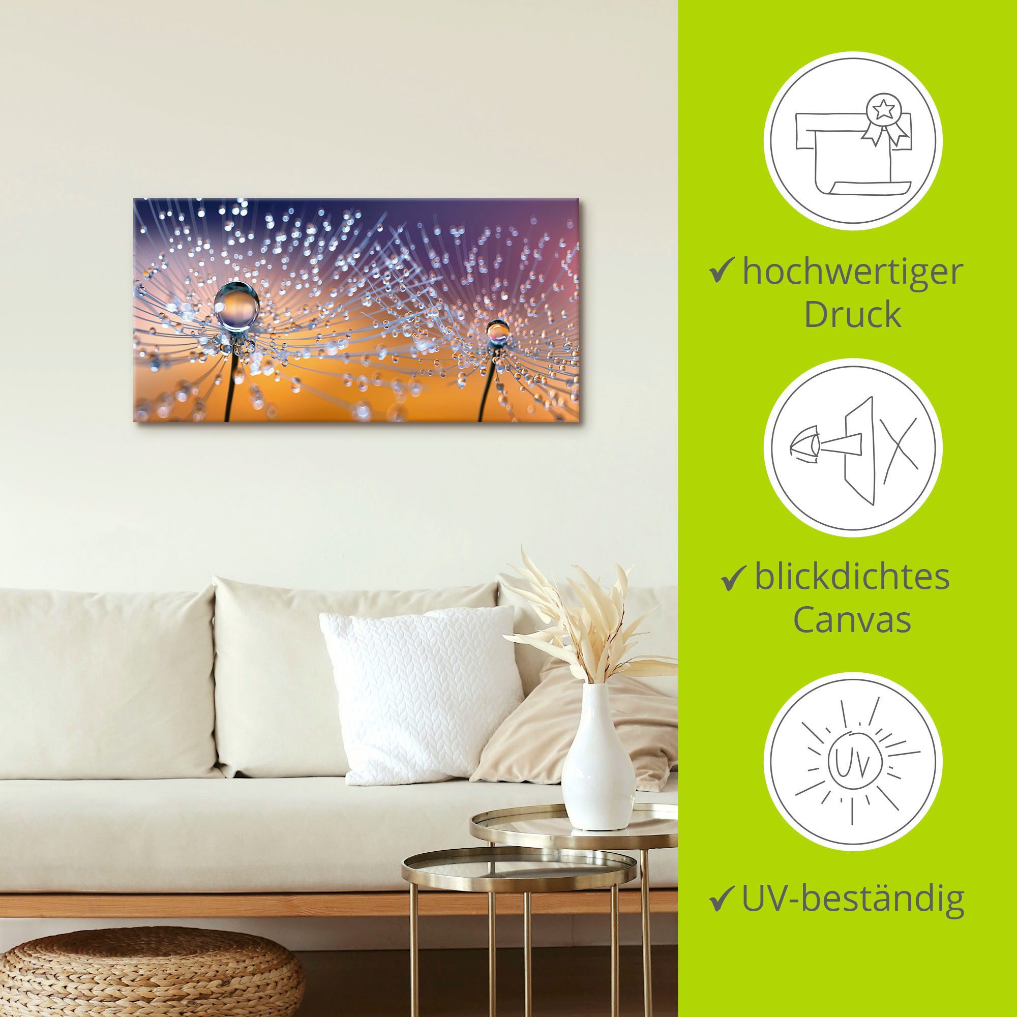 Artland Artprint Paardenbloemen dauwdruppel als artprint van aluminium, artprint voor buiten, artprint op linnen, poster, muursticker