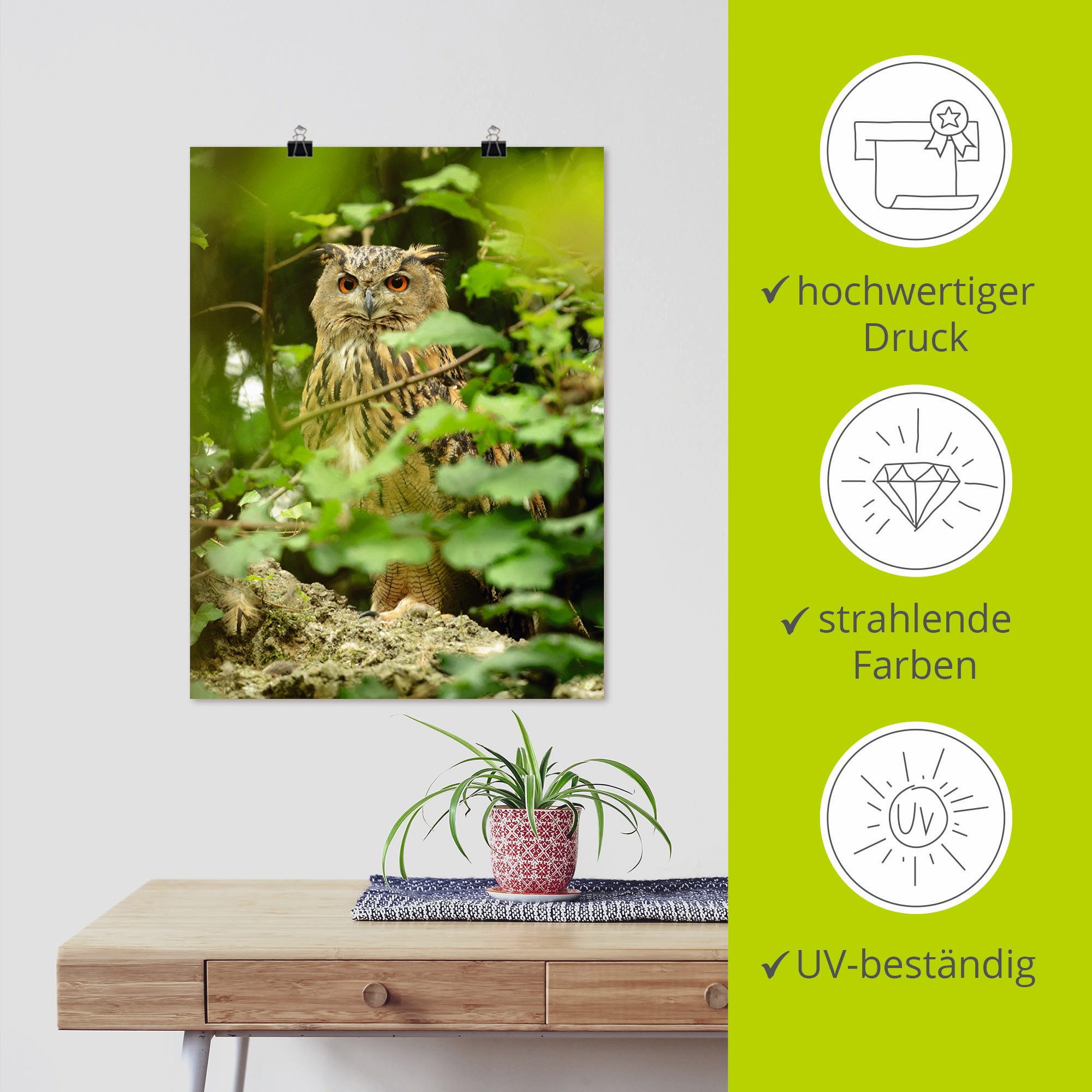 Artland Artprint Vogel oehoe als artprint op linnen, poster in verschillende formaten maten