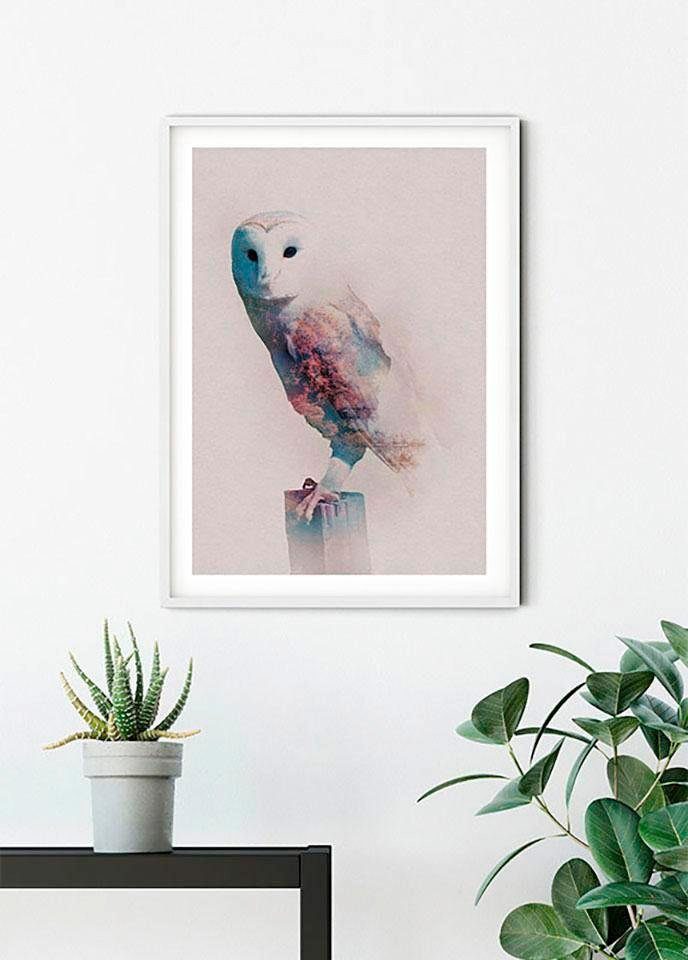 Komar Wanddecoratie Animals forest Owl Wanddecoratie - zonder lijst (1 stuk)